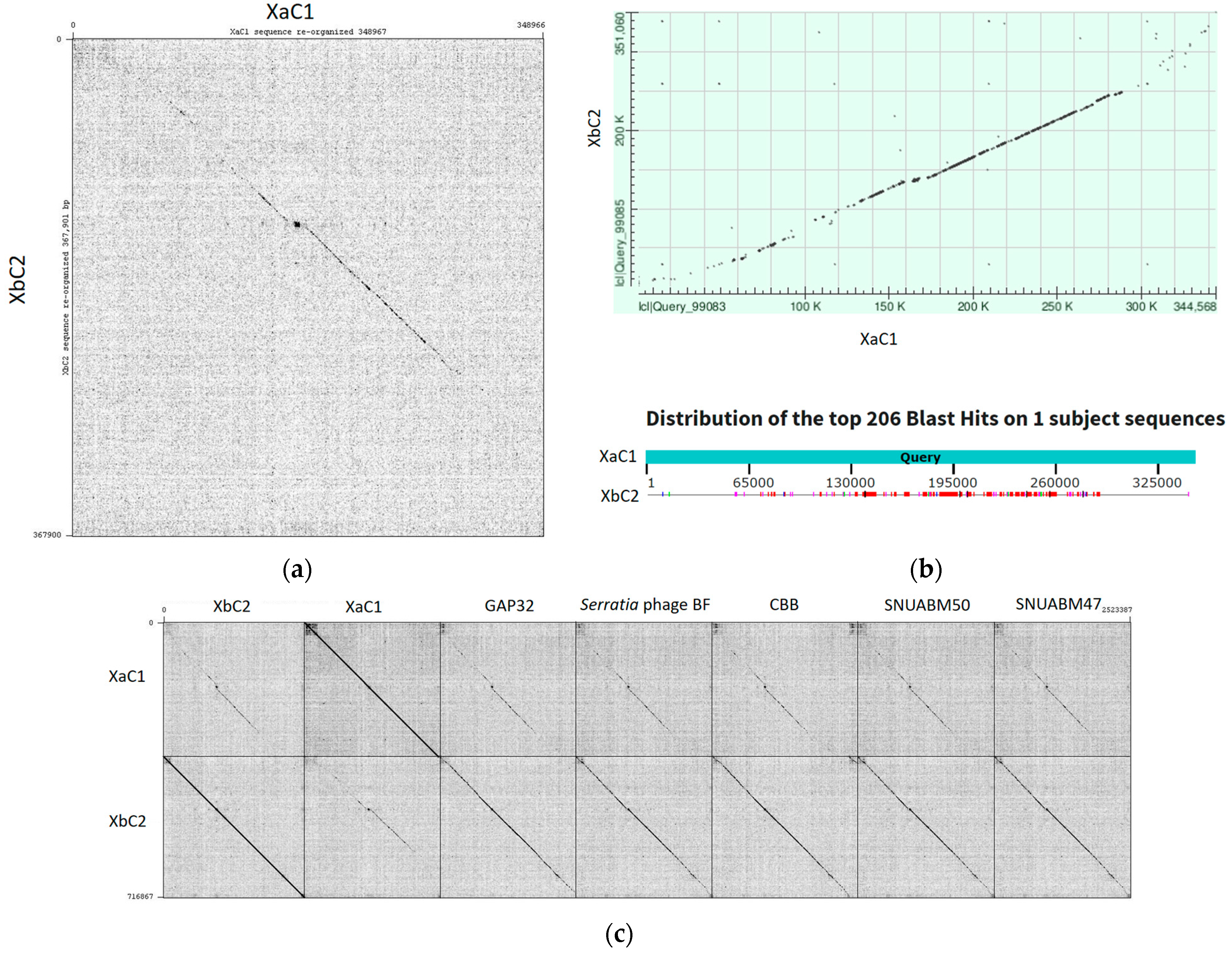 Antibiotics 13 00651 g004