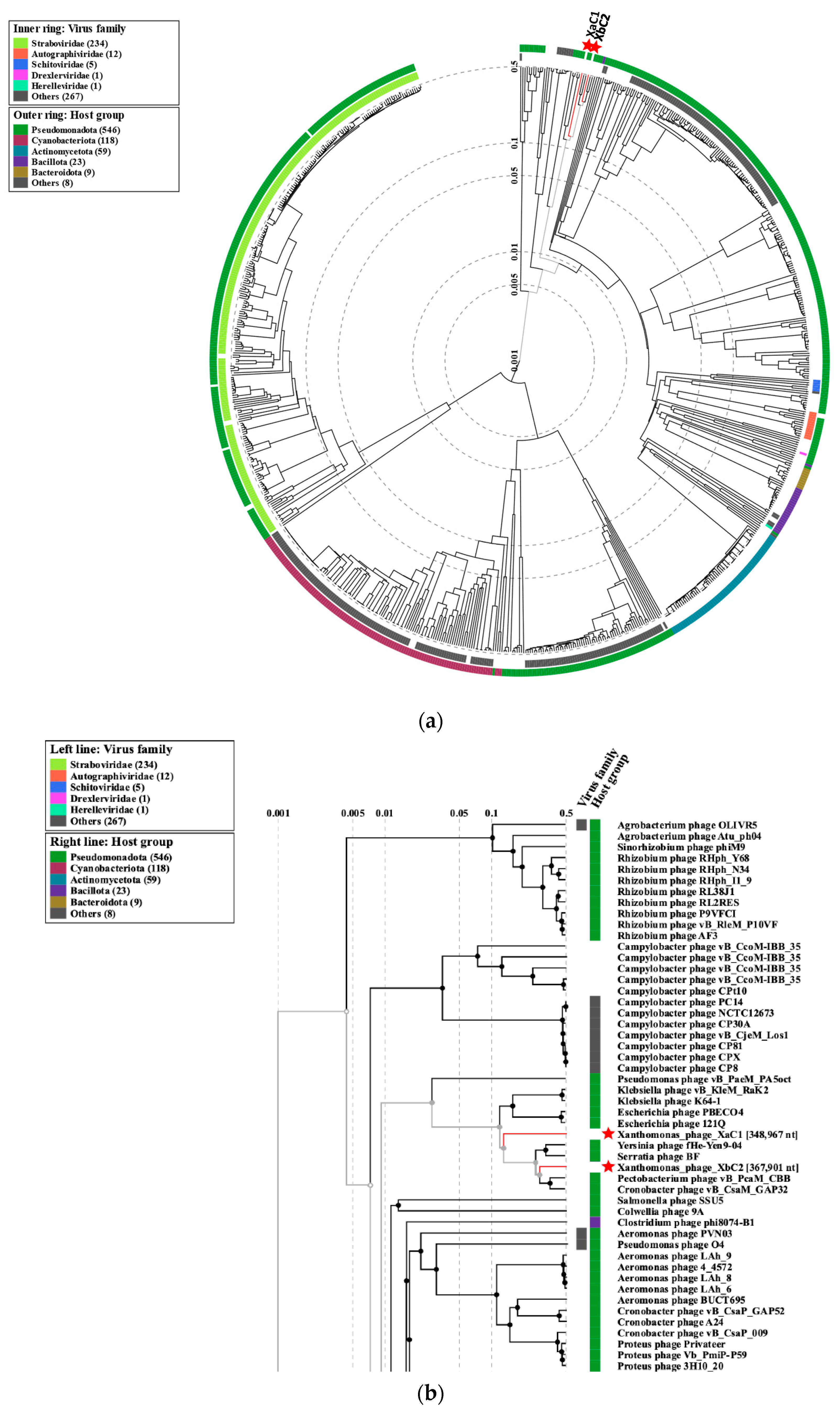 Antibiotics 13 00651 g006