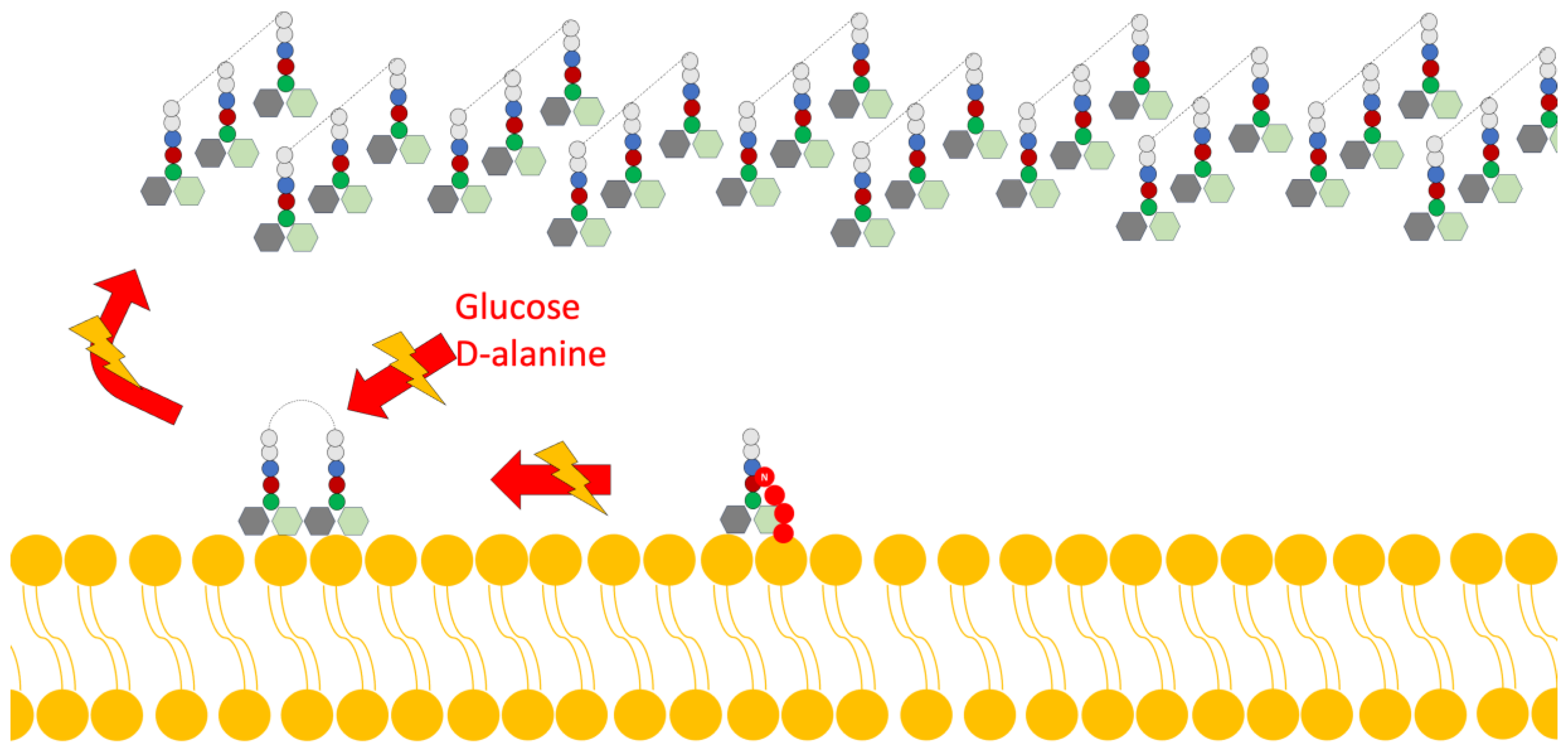 Antibiotics 13 00666 g003