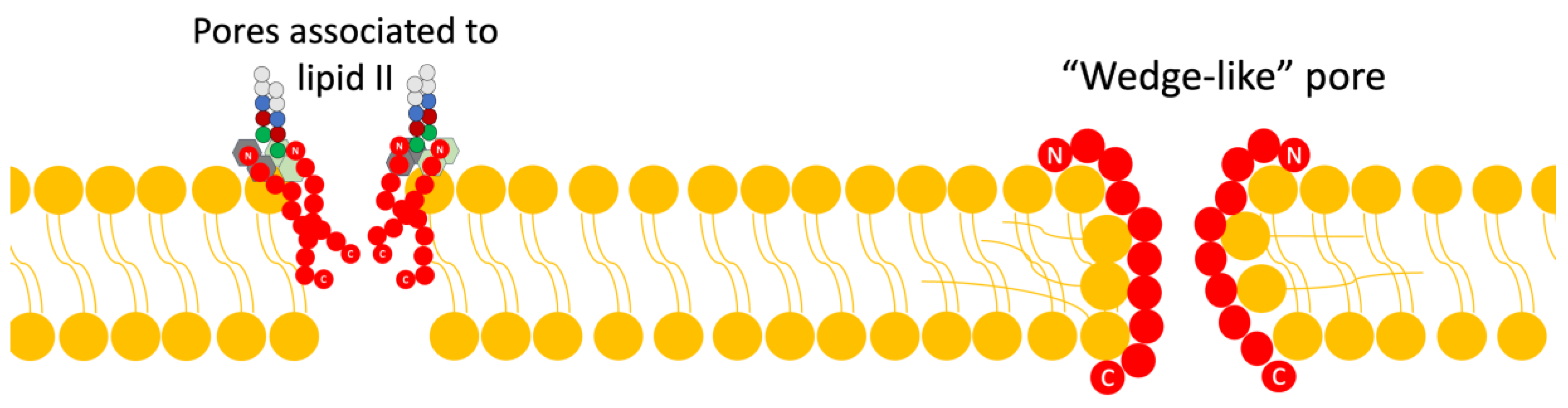 Antibiotics 13 00666 g004