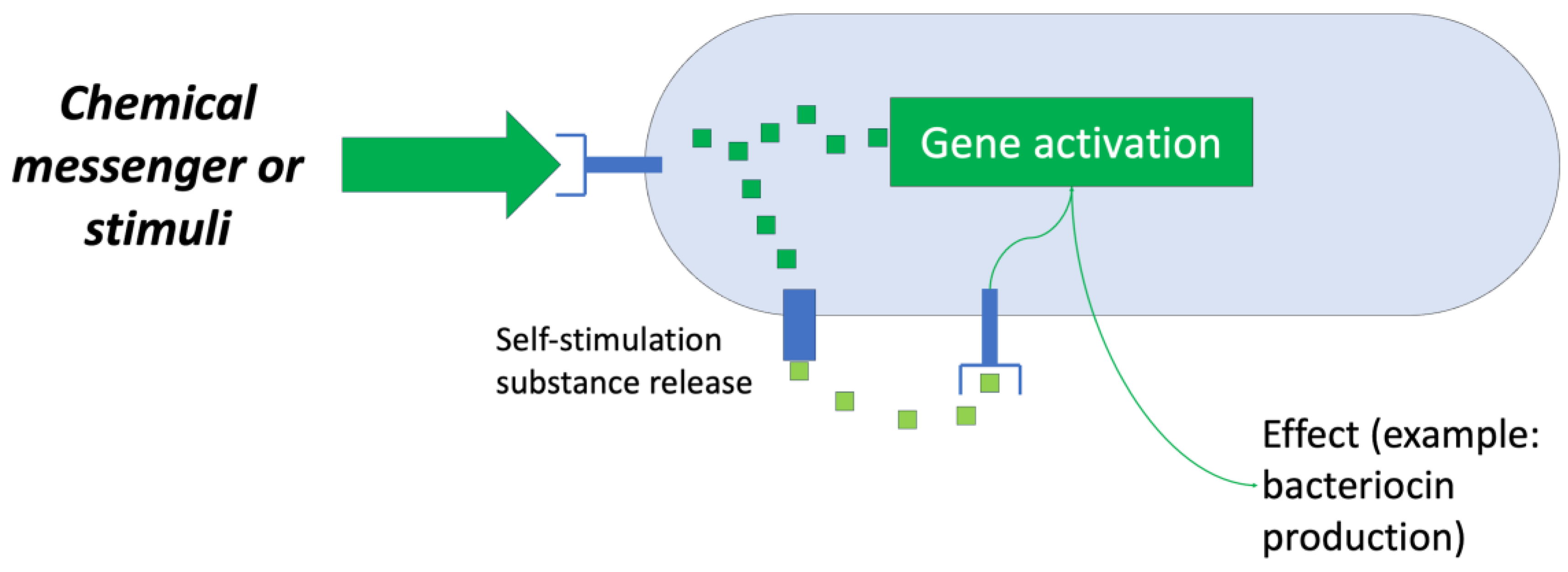 Antibiotics 13 00666 g008