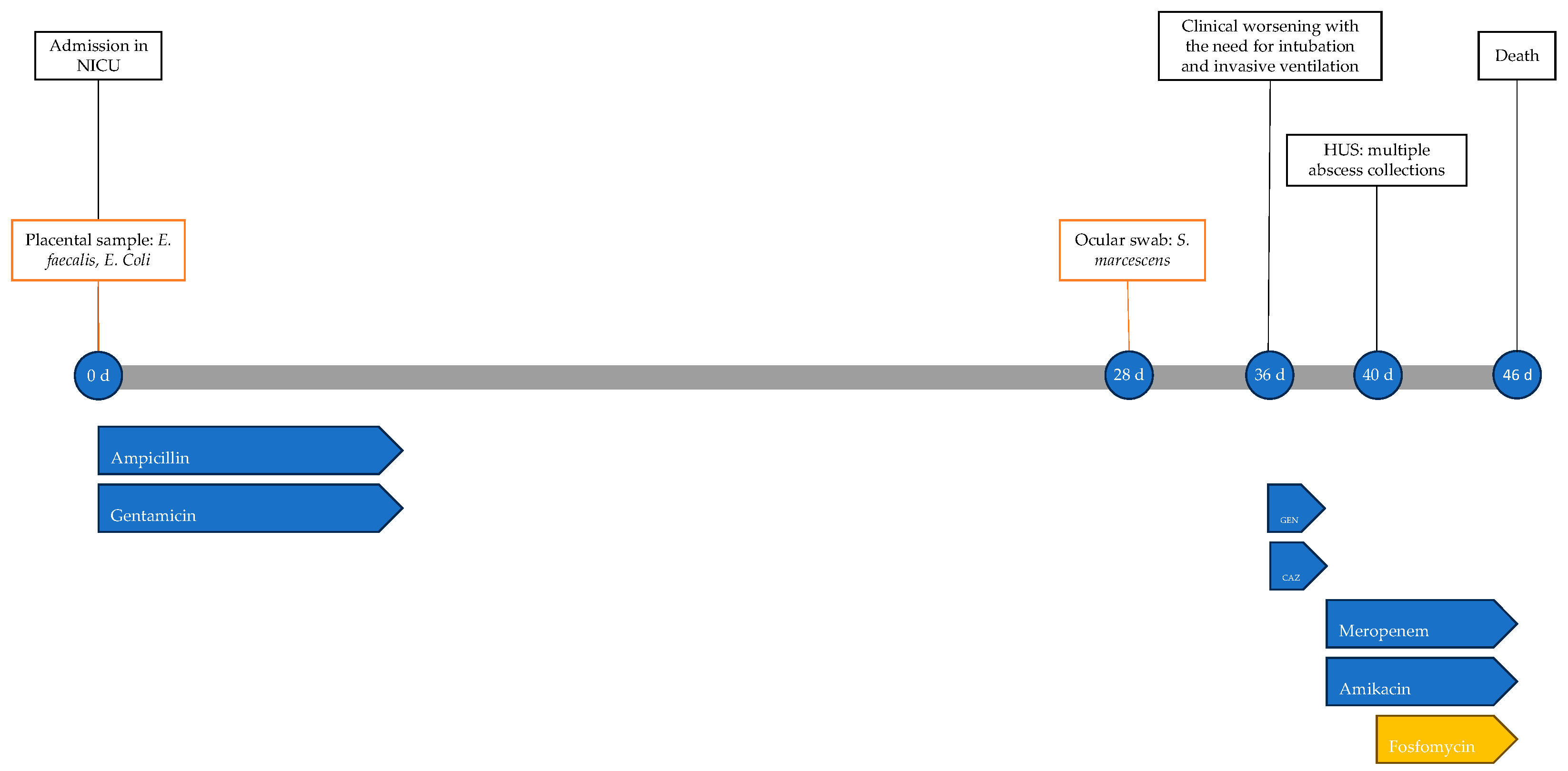 Antibiotics 13 00667 g001