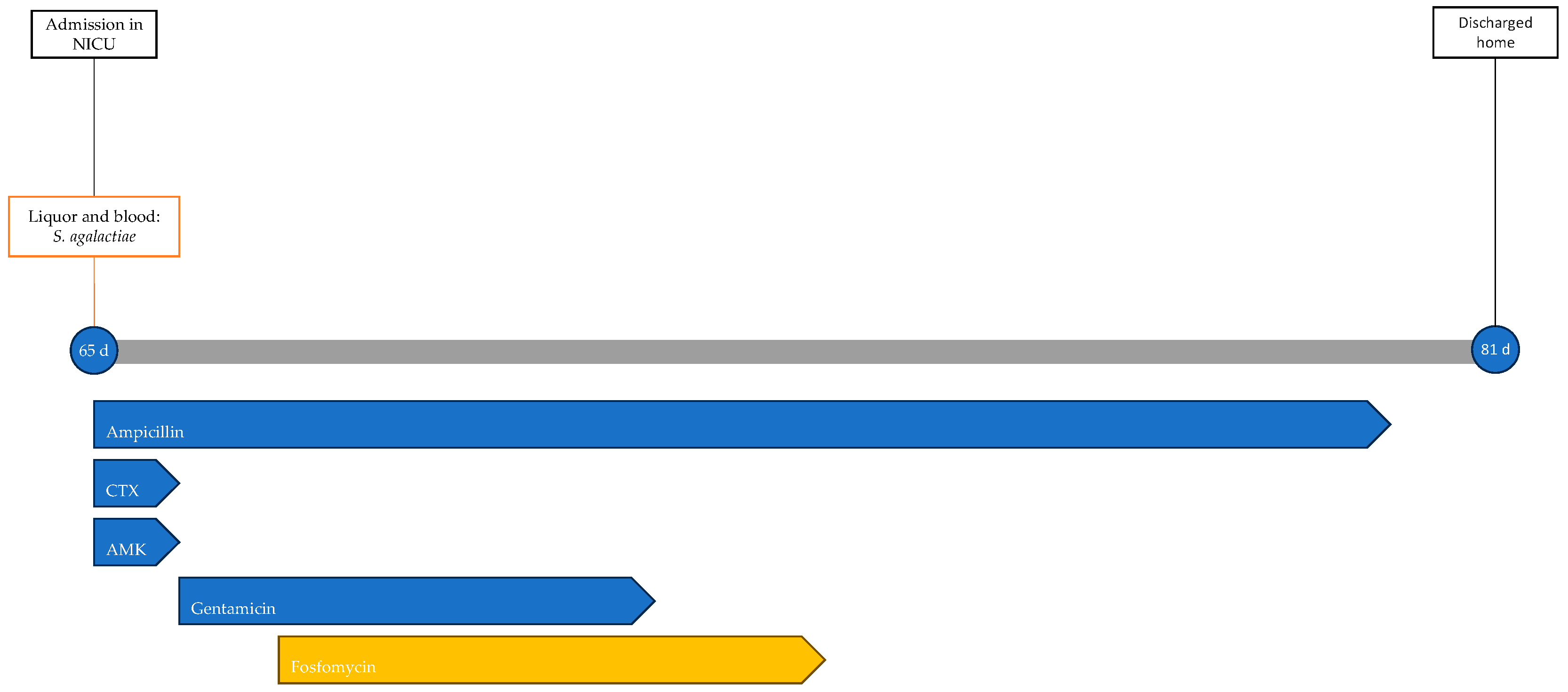 Antibiotics 13 00667 g003