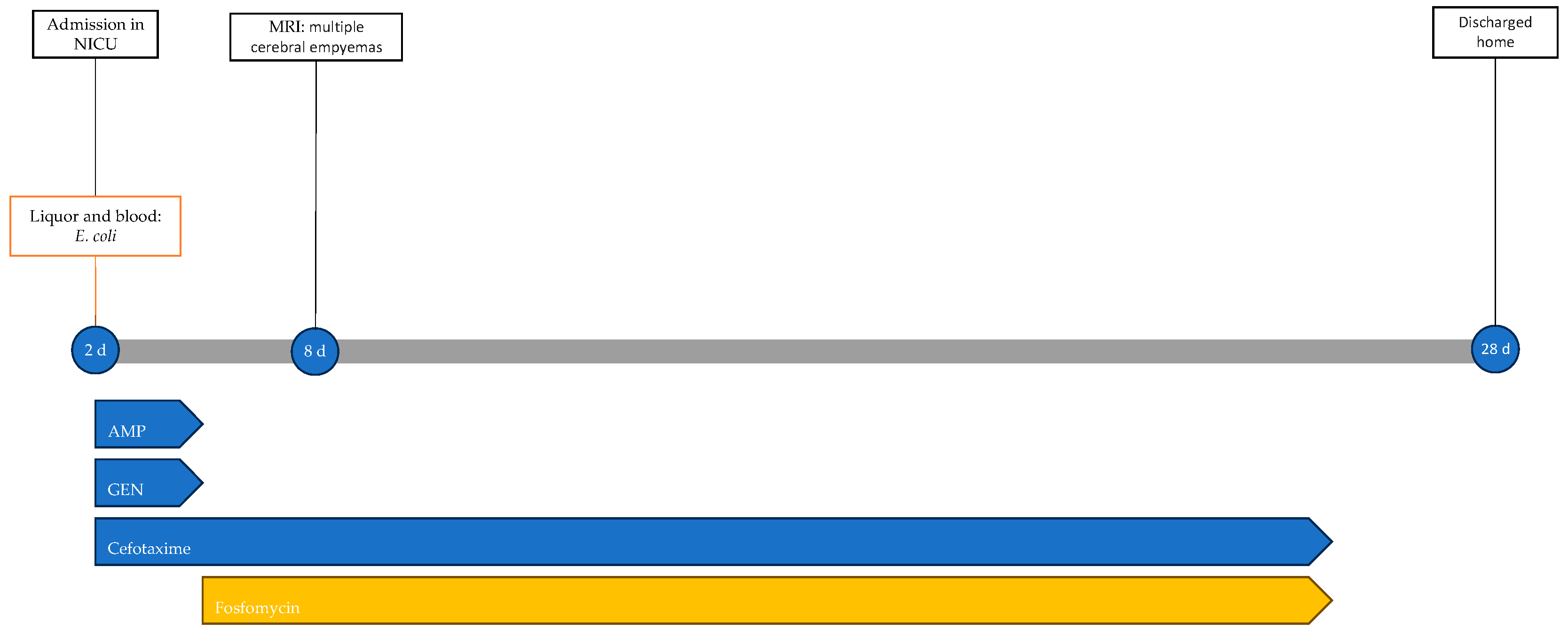 Antibiotics 13 00667 g005