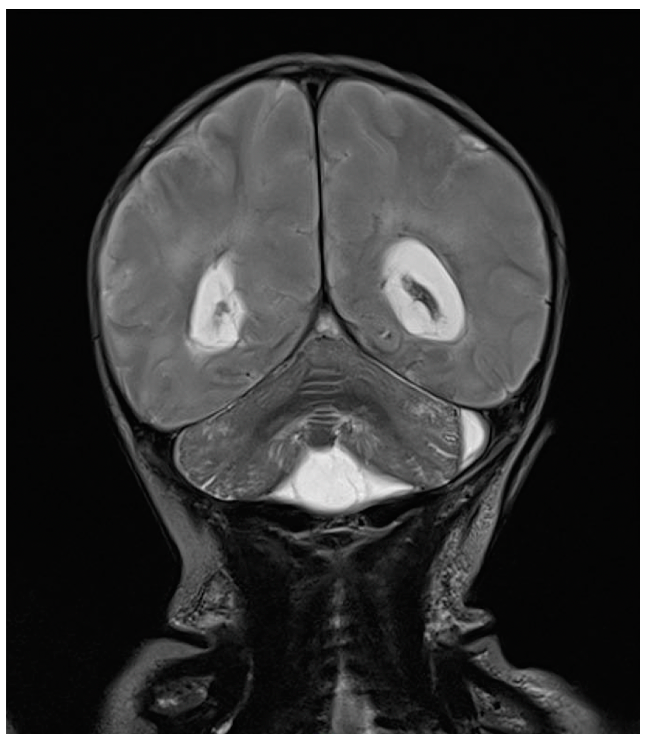 Antibiotics 13 00667 g006