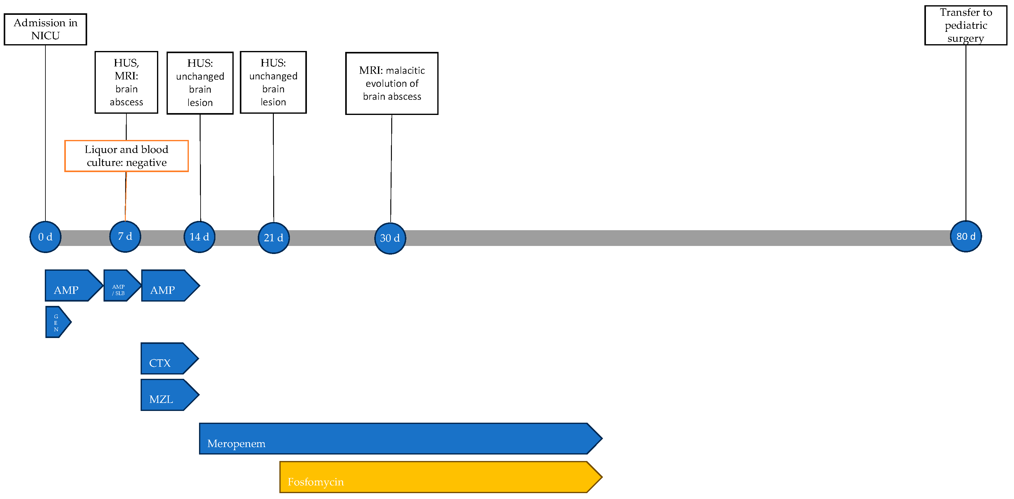 Antibiotics 13 00667 g009