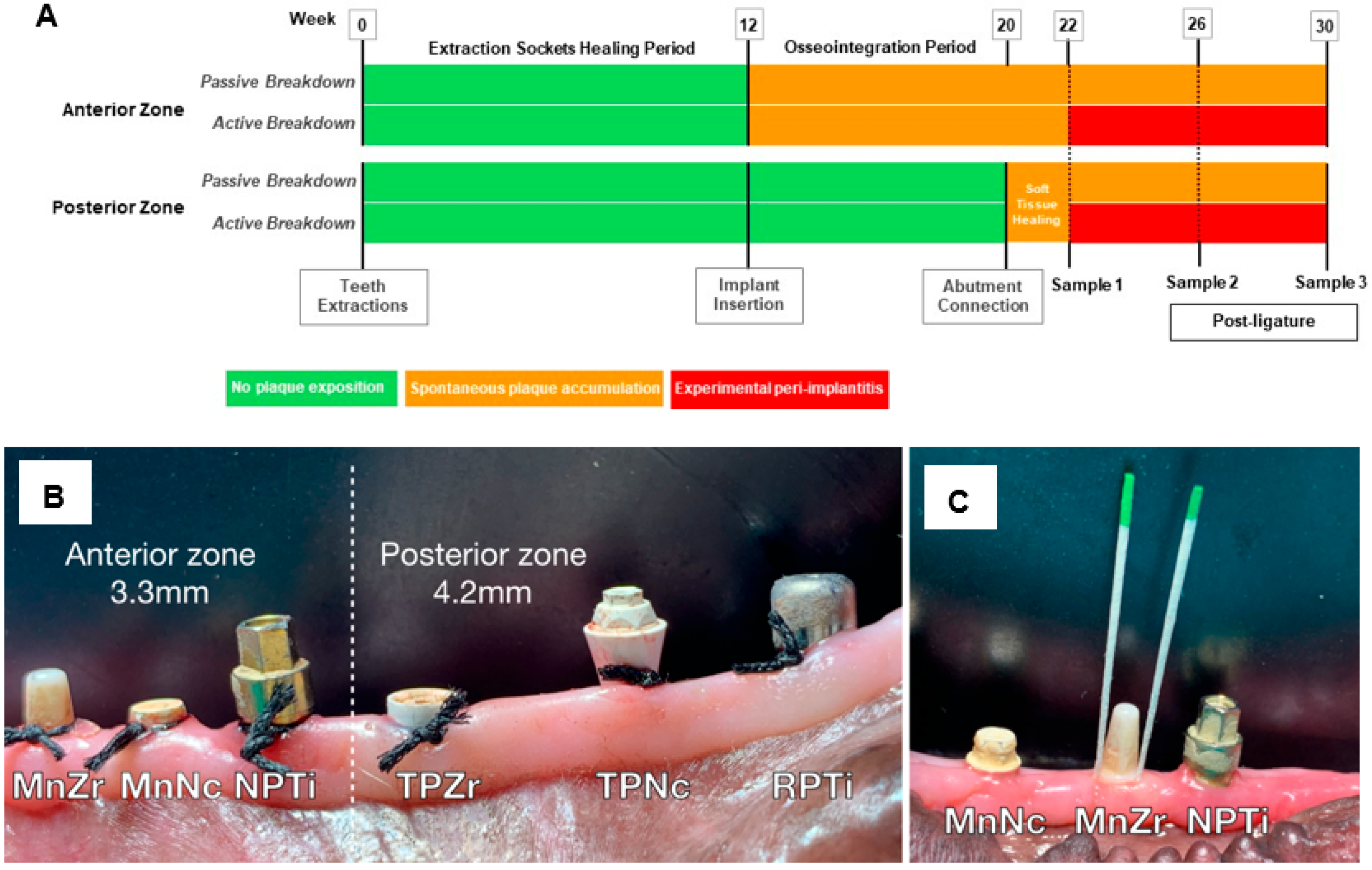 Antibiotics 13 00690 g006