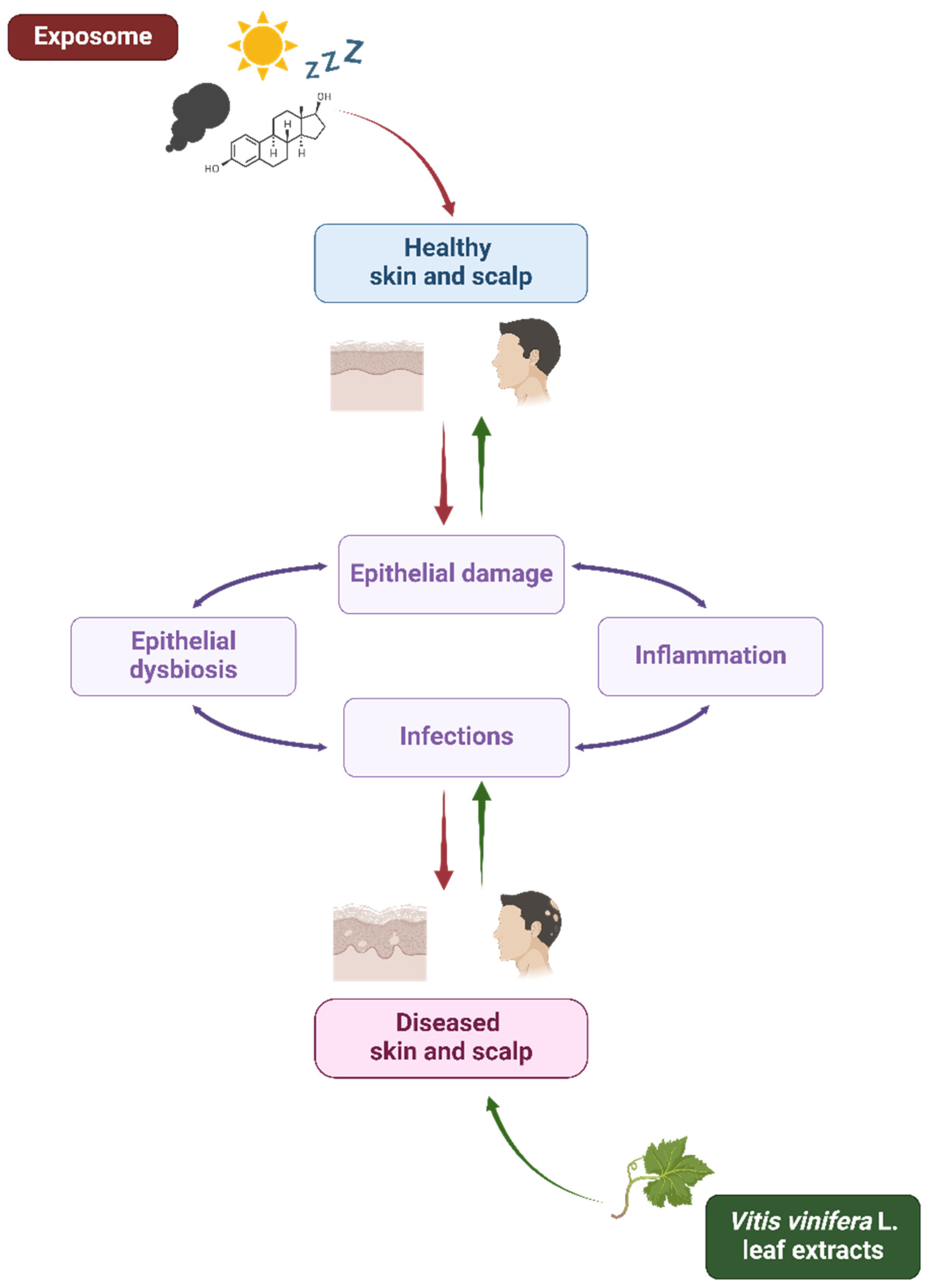 Antibiotics 13 00697 g001