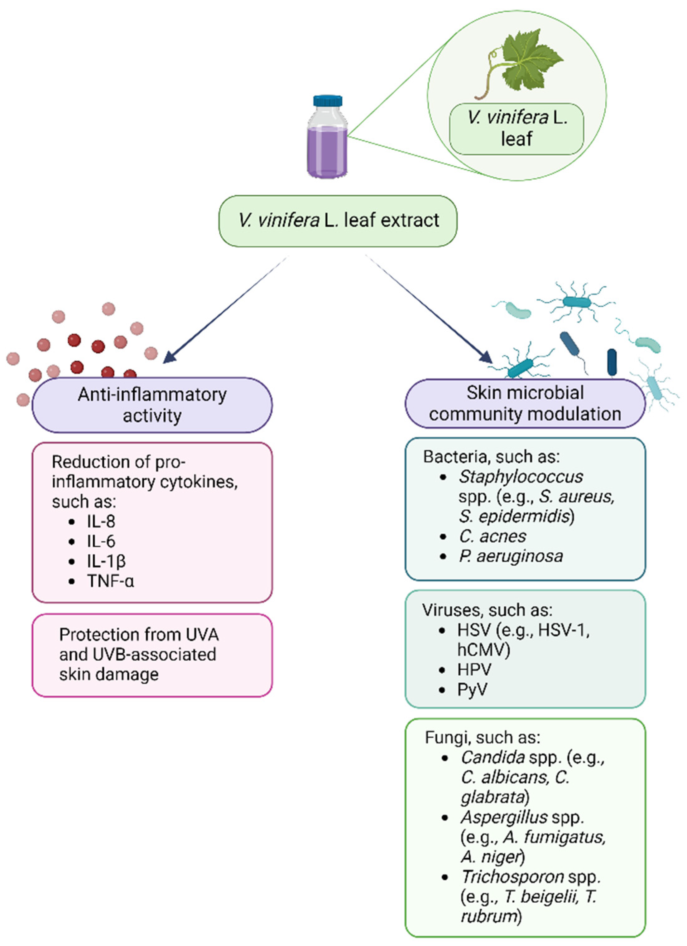 Antibiotics 13 00697 g002