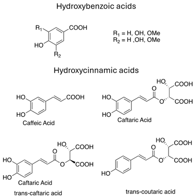 Antibiotics 13 00697 i004