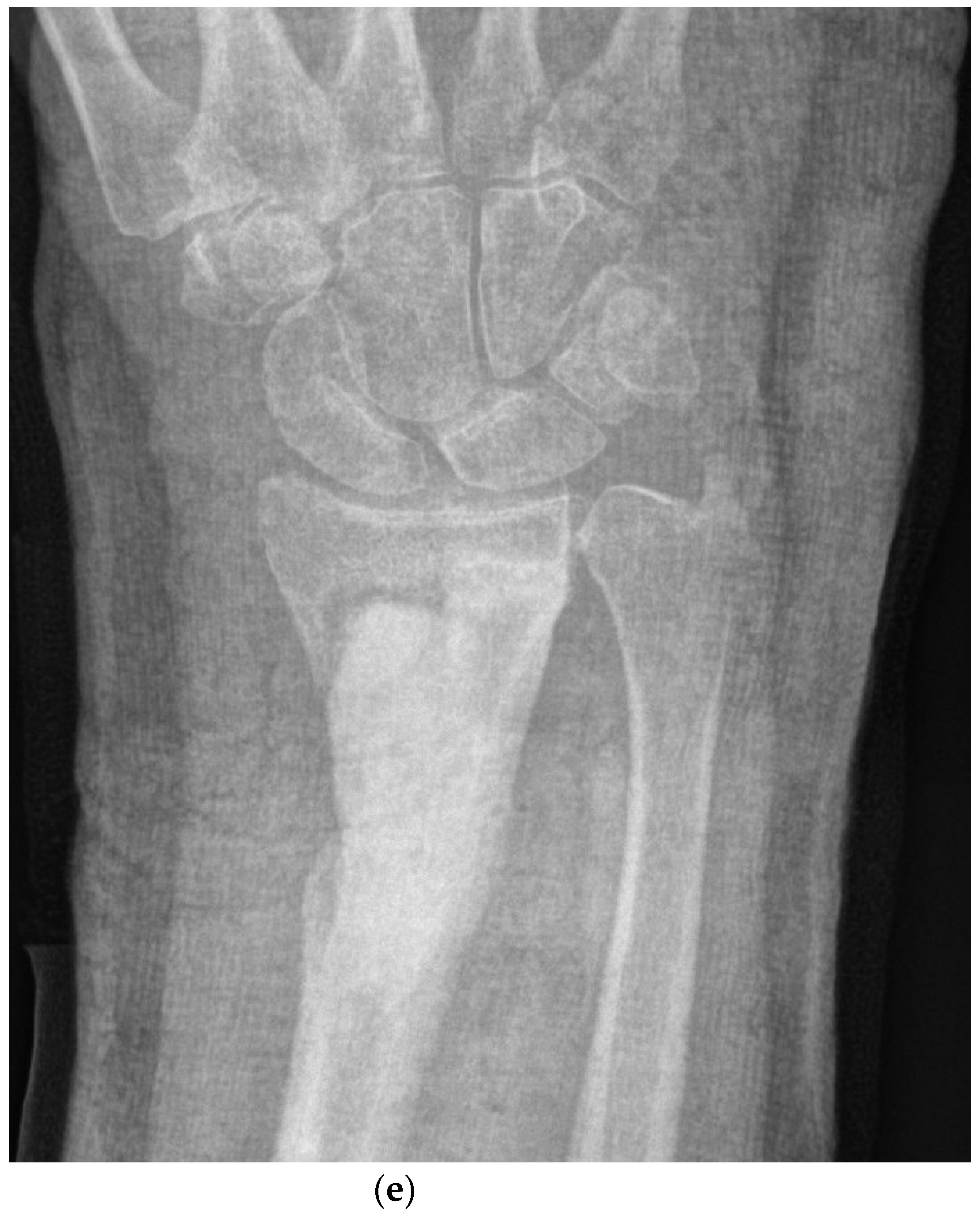 Antibiotics 13 00703 g002c