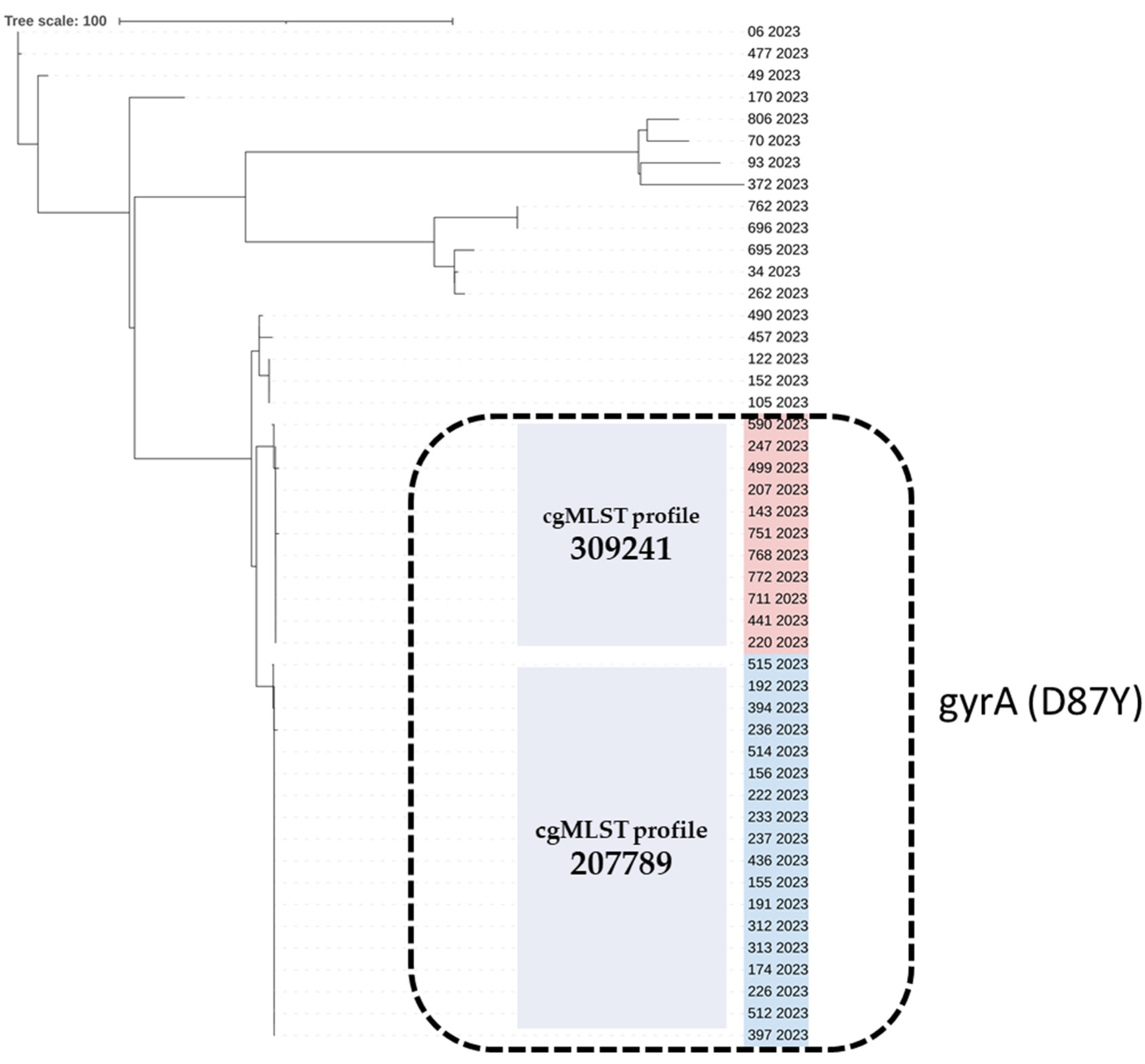 Antibiotics 13 00708 g001