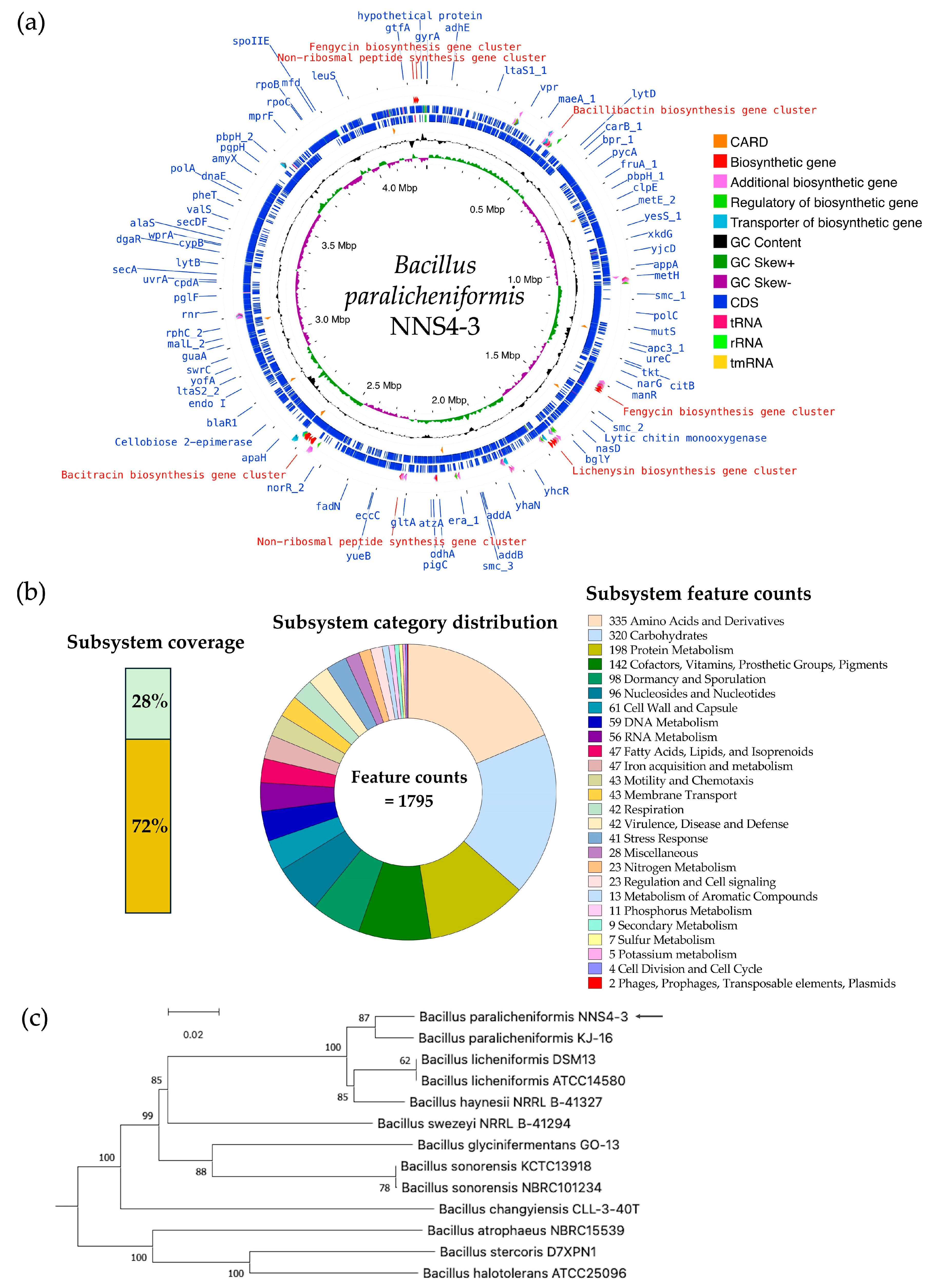 Antibiotics 13 00716 g007