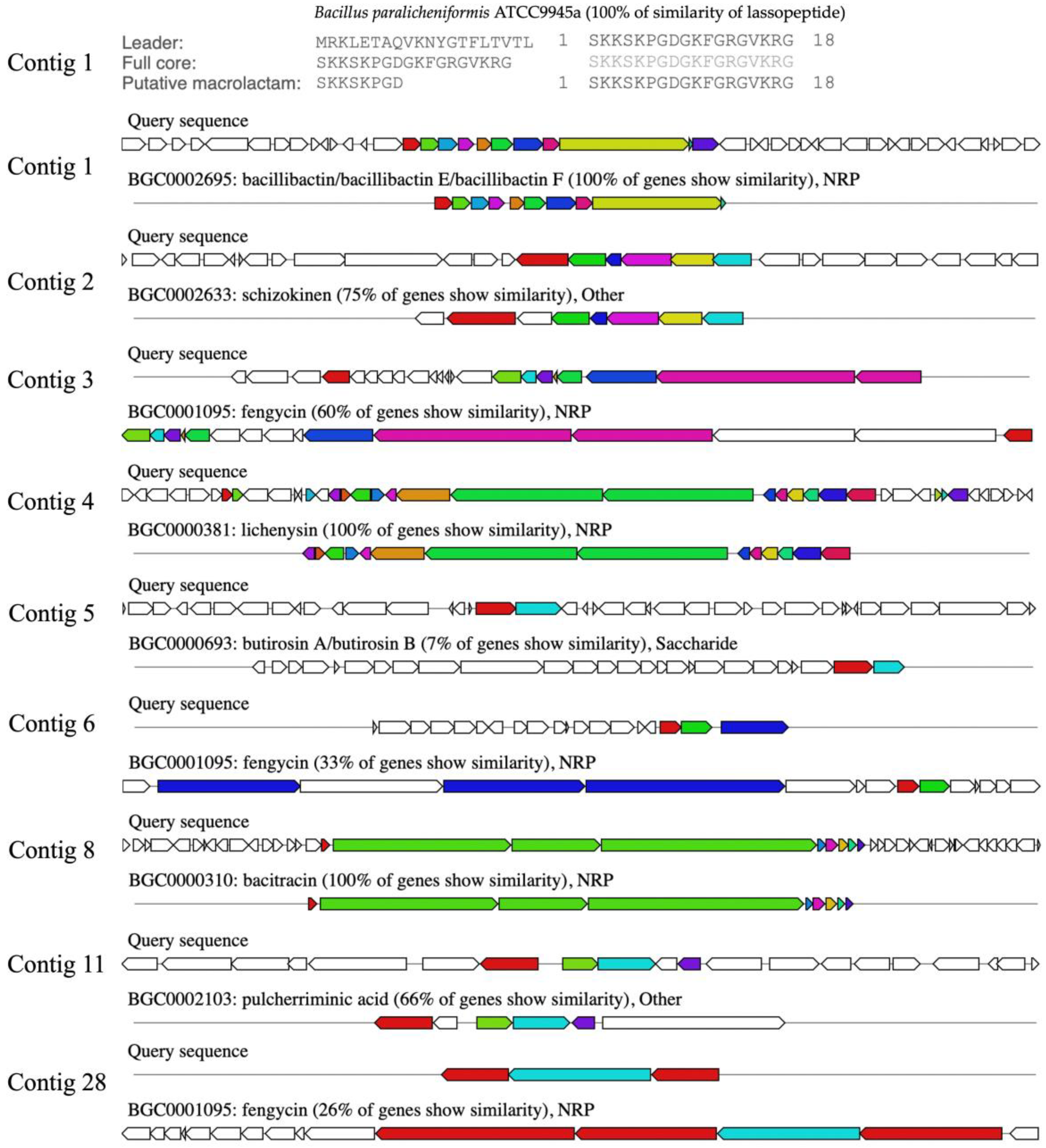 Antibiotics 13 00716 g008