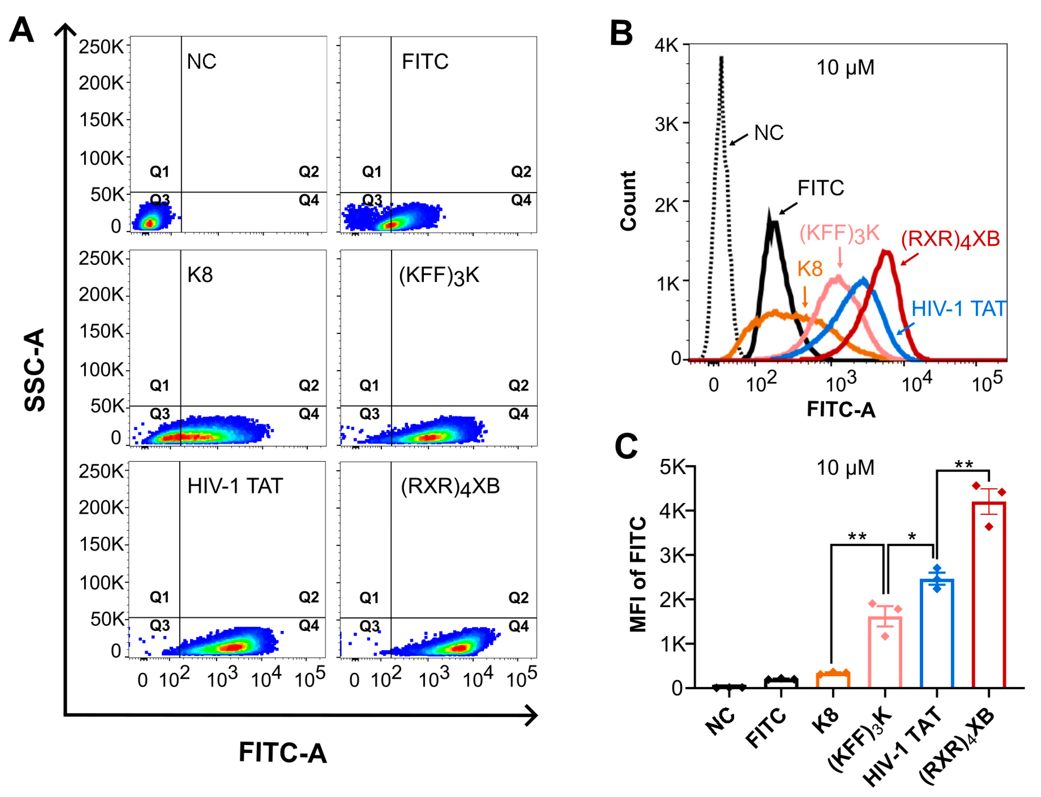 Antibiotics 13 00725 g002