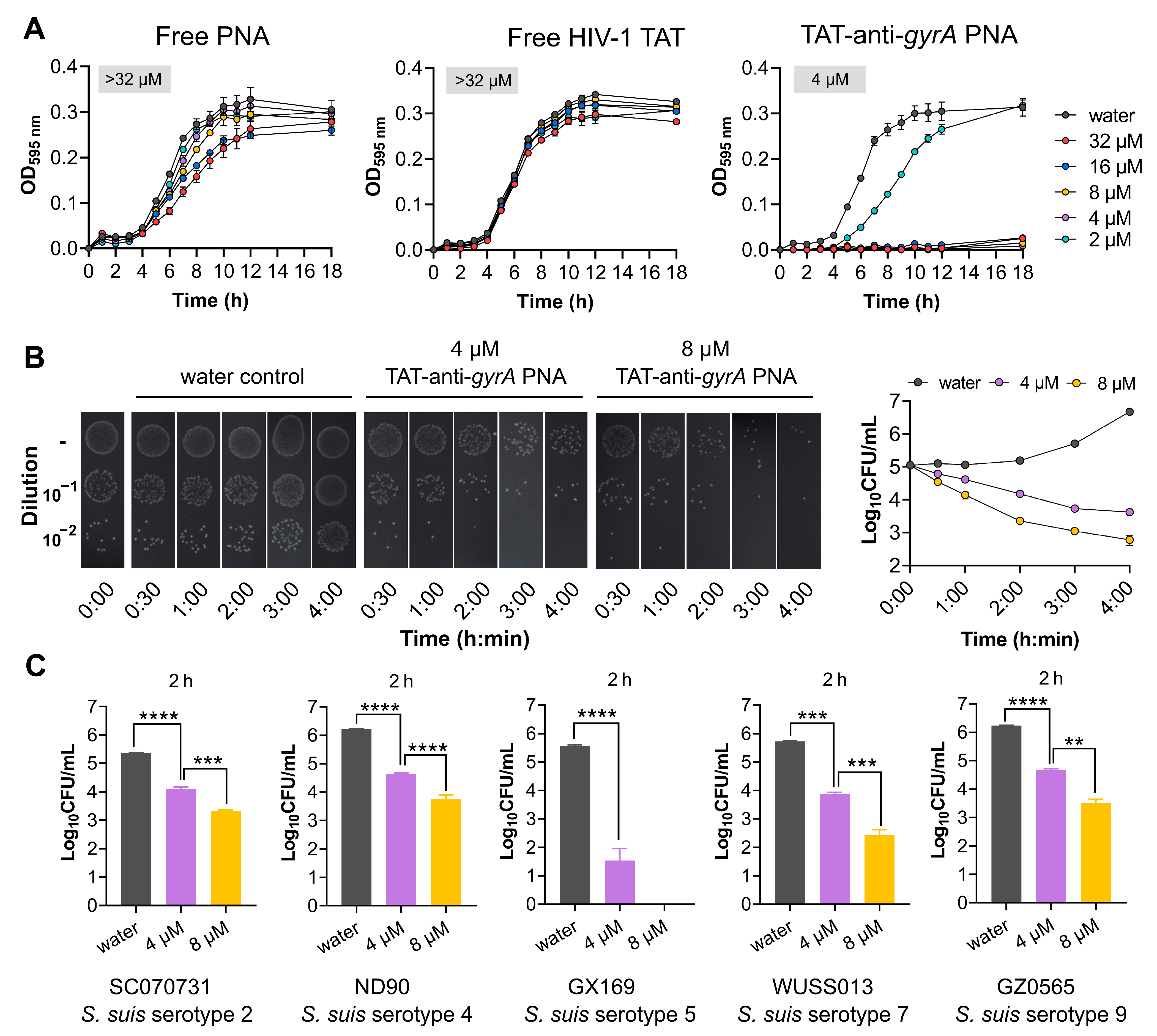 Antibiotics 13 00725 g005