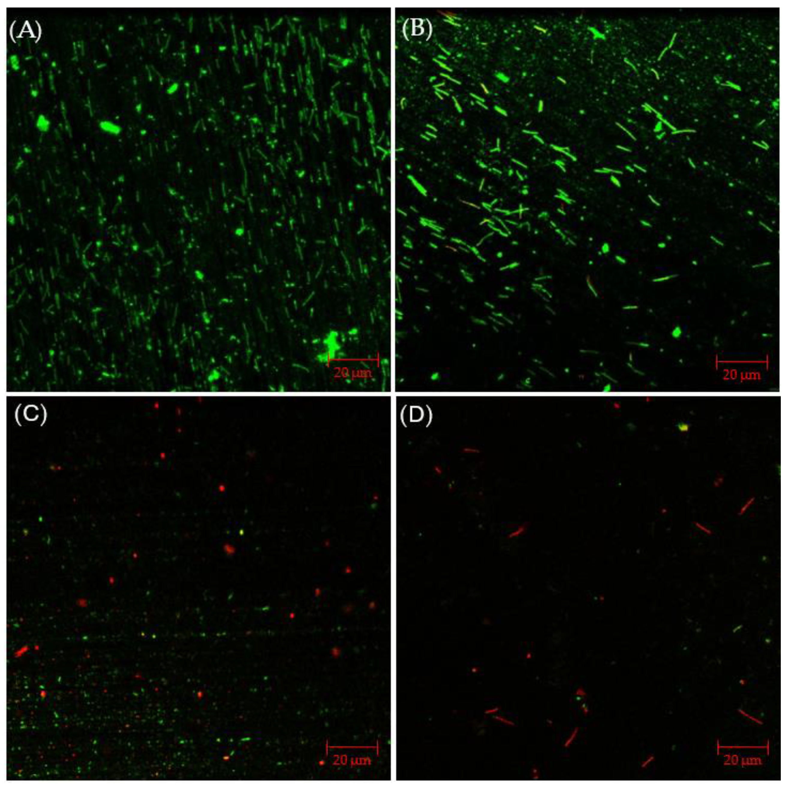 Antibiotics 13 00728 g009 Antibiotics 13 00728 g009