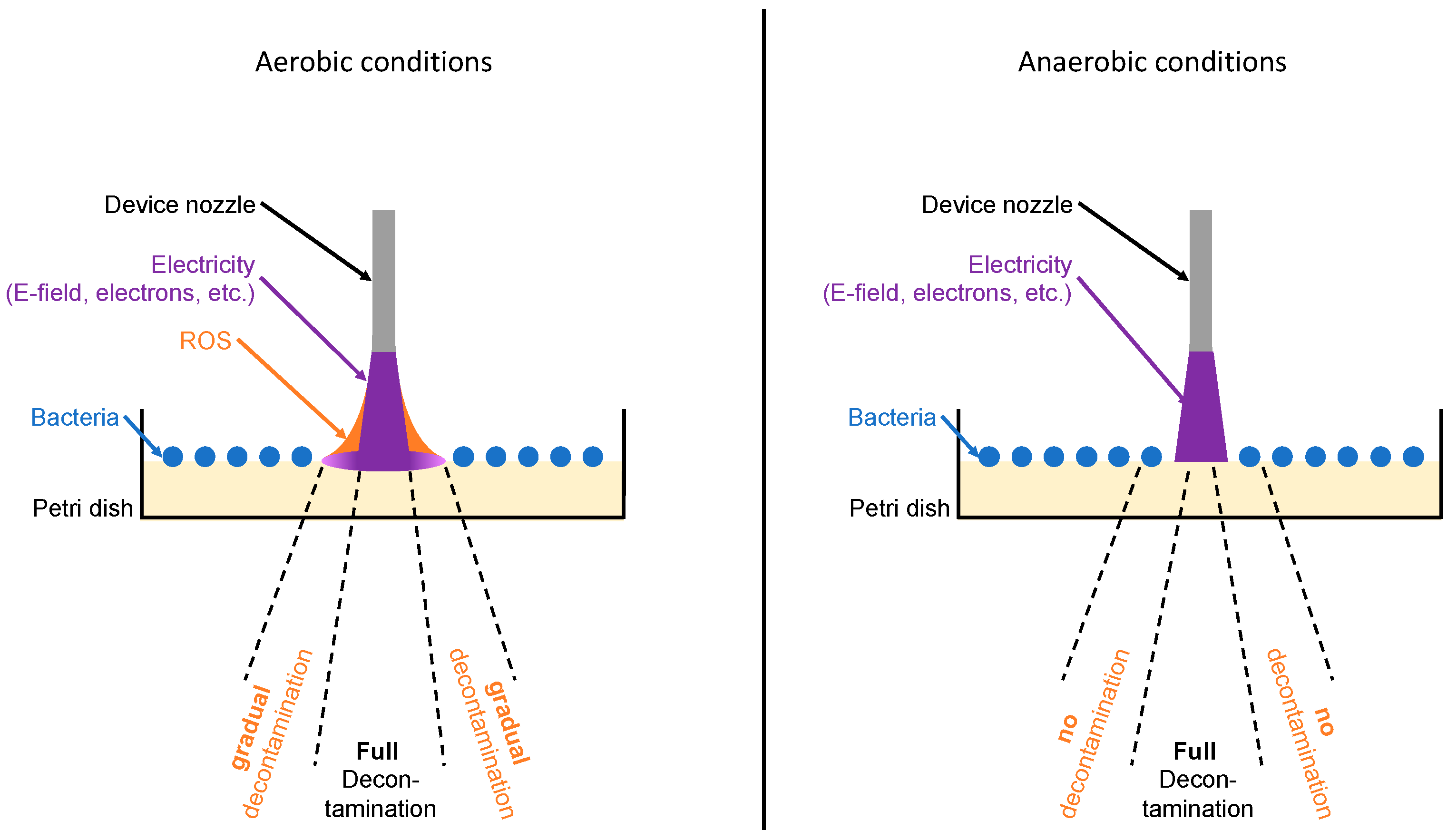 Antibiotics 13 00735 g001