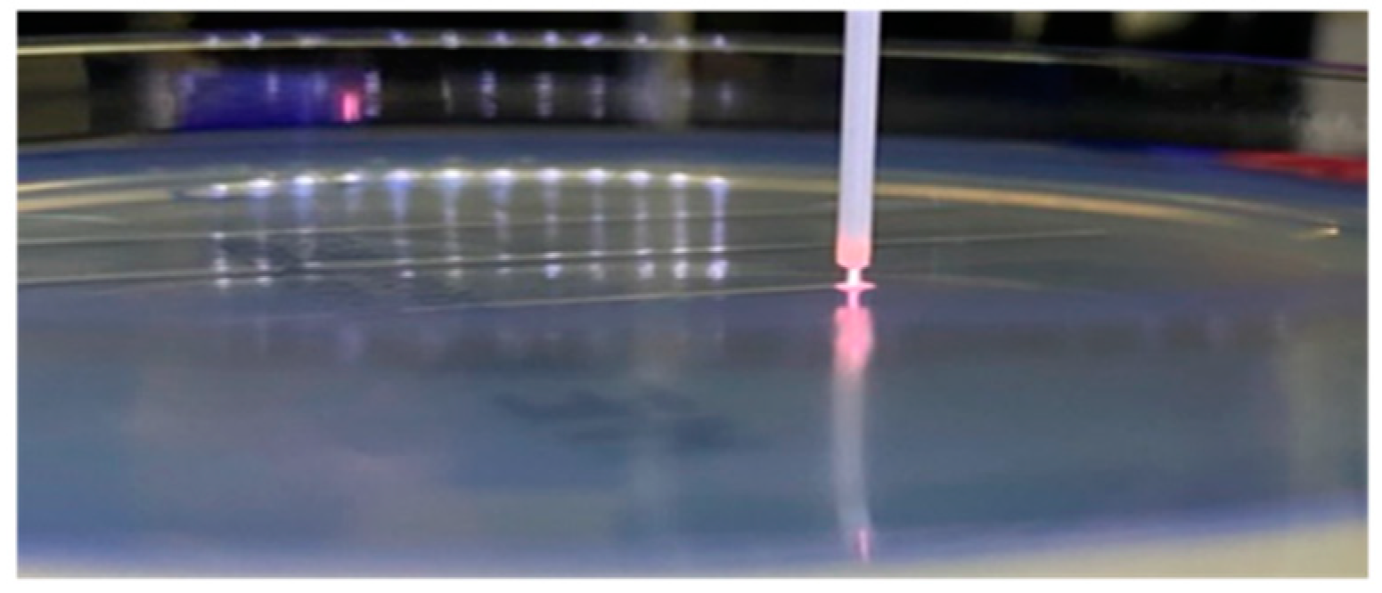 Antibiotics 13 00735 g008