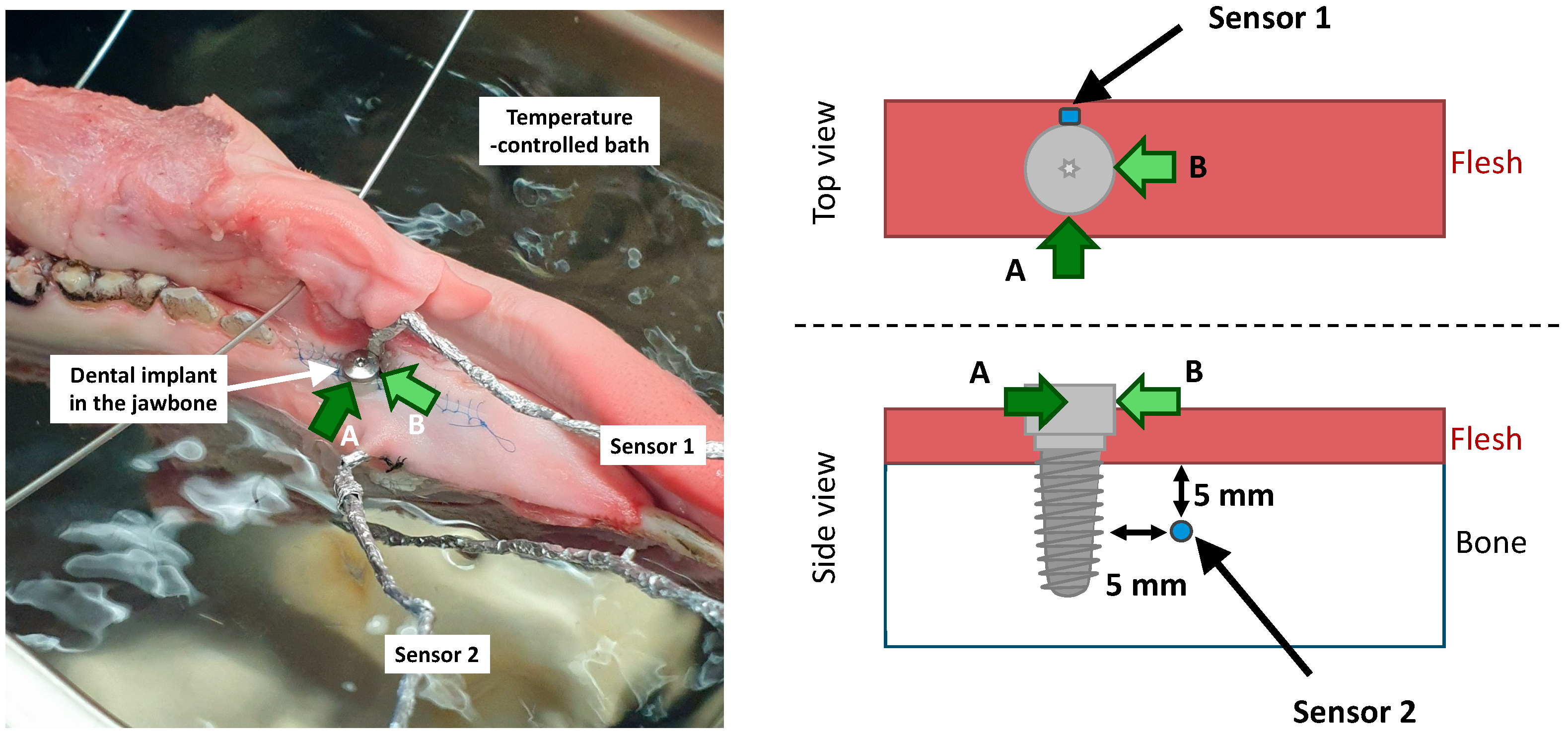 Antibiotics 13 00735 g009