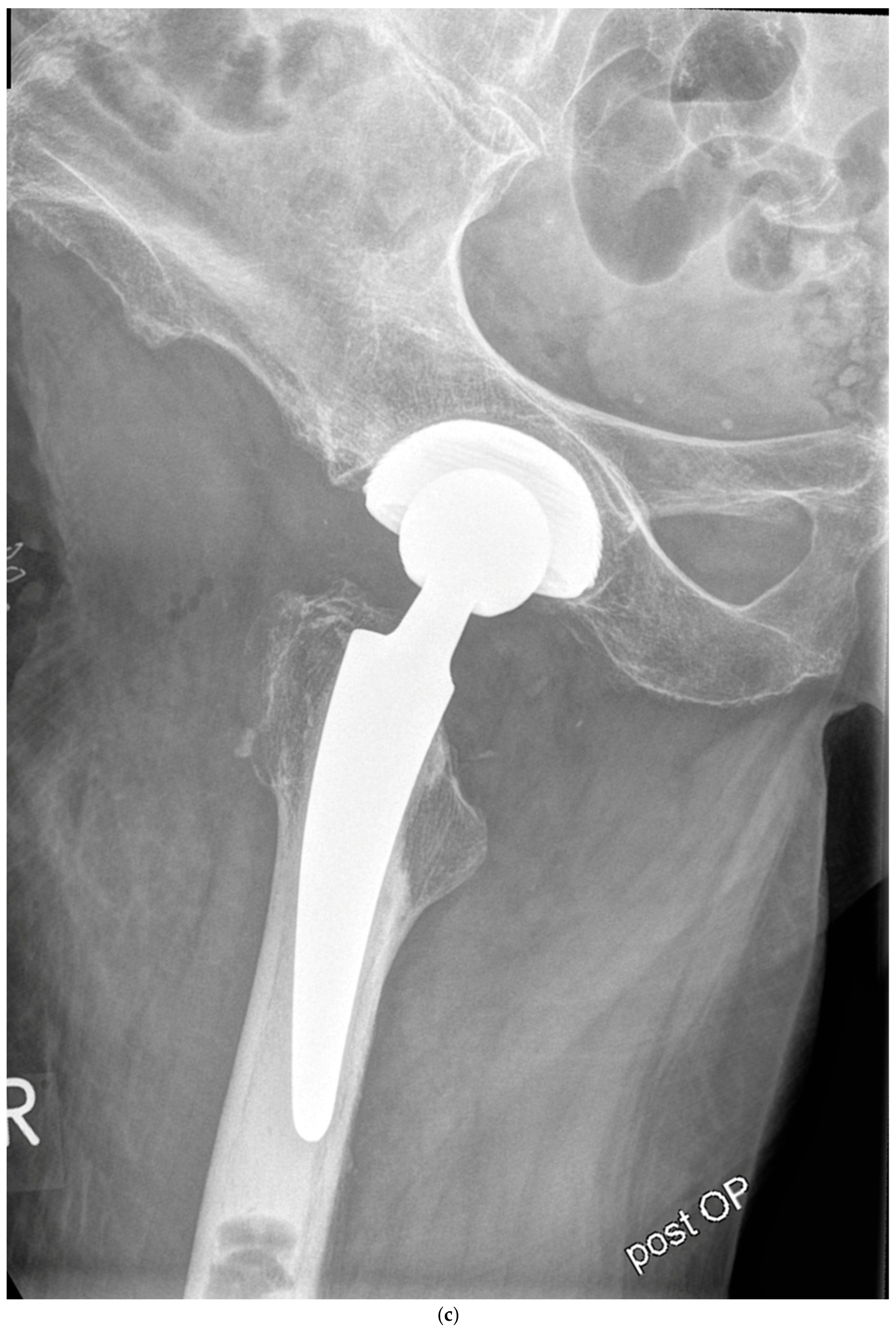 Antibiotics 13 00739 g002b