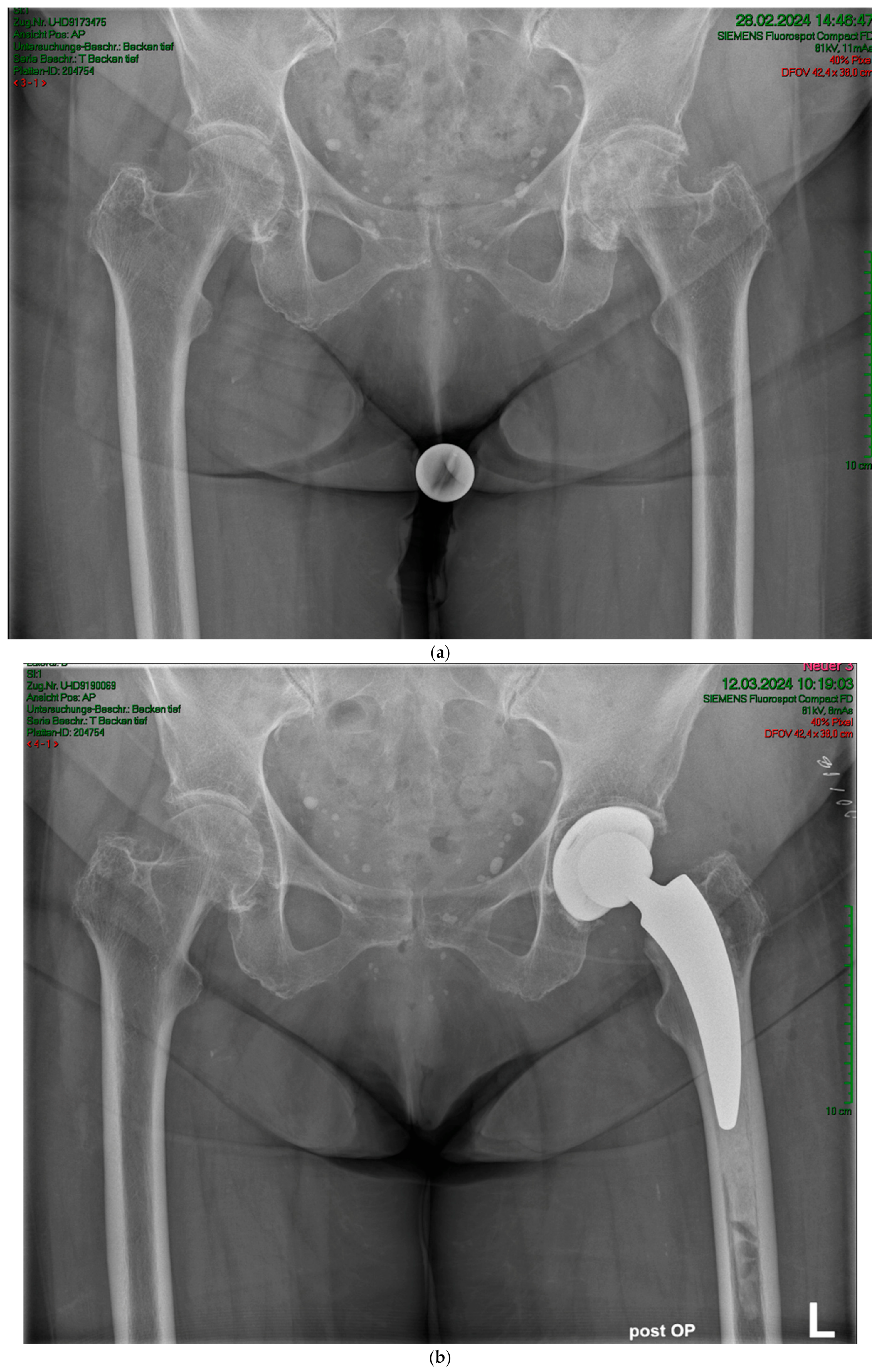 Antibiotics 13 00739 g003a