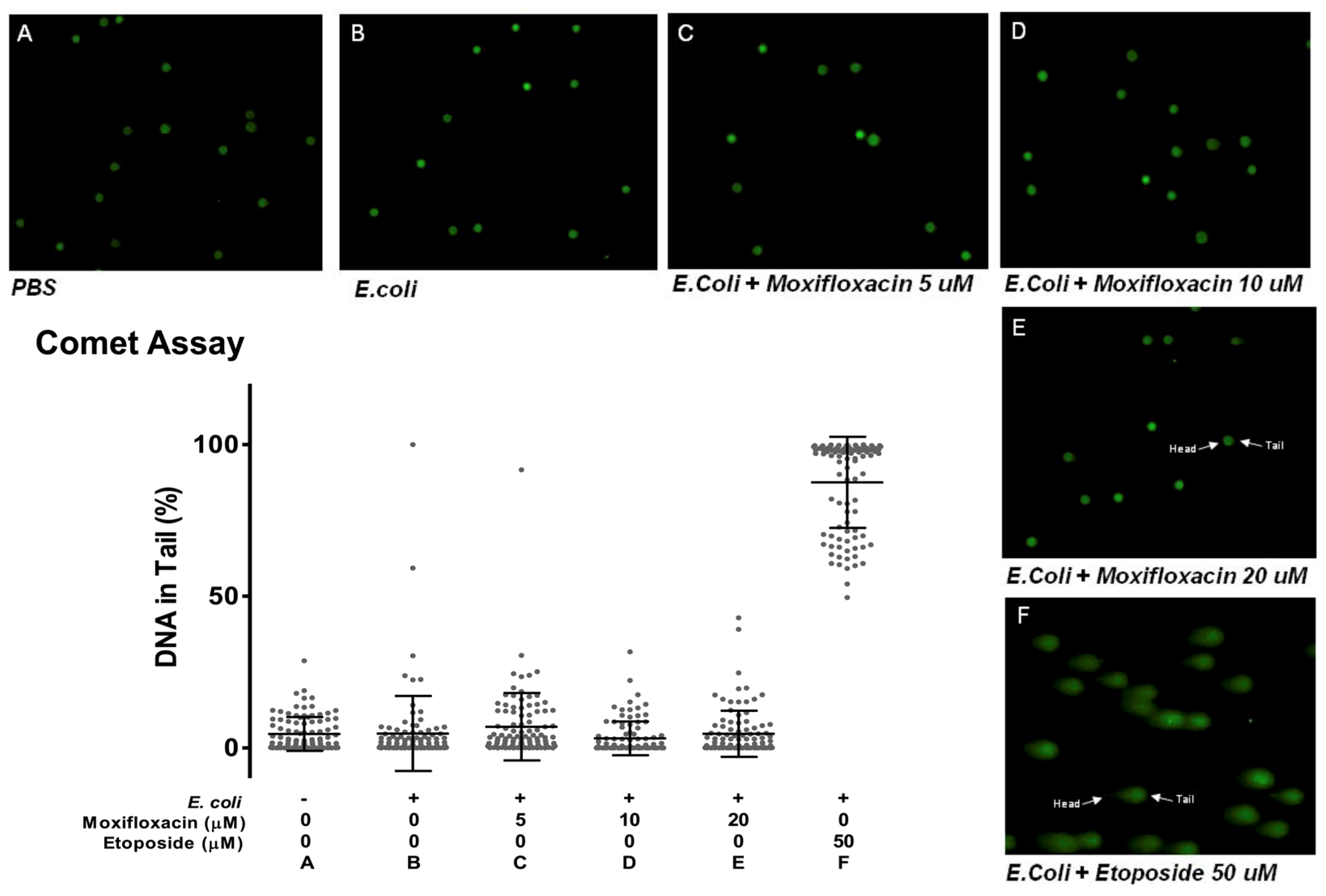 Antibiotics 13 00742 g004
