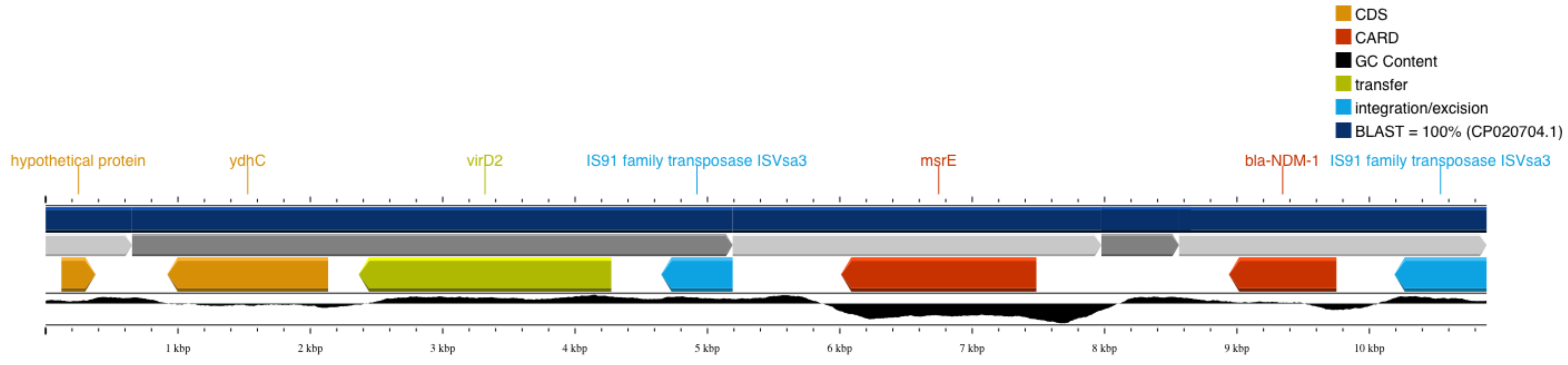 Antibiotics 13 00762 g002