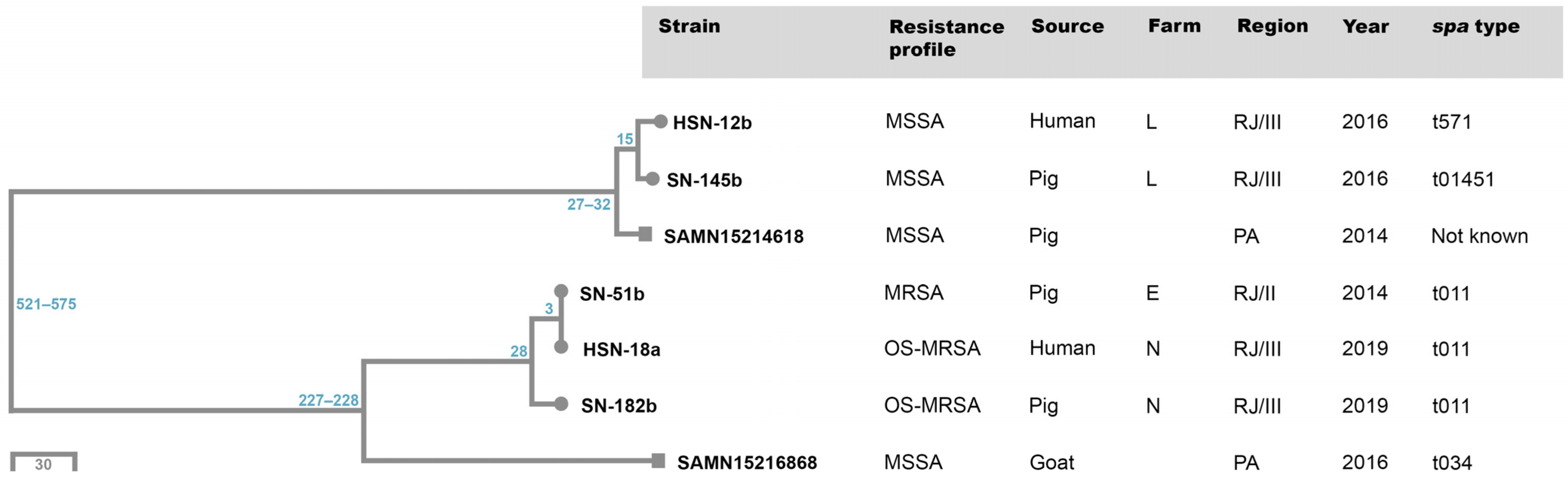 Antibiotics 13 00767 g002