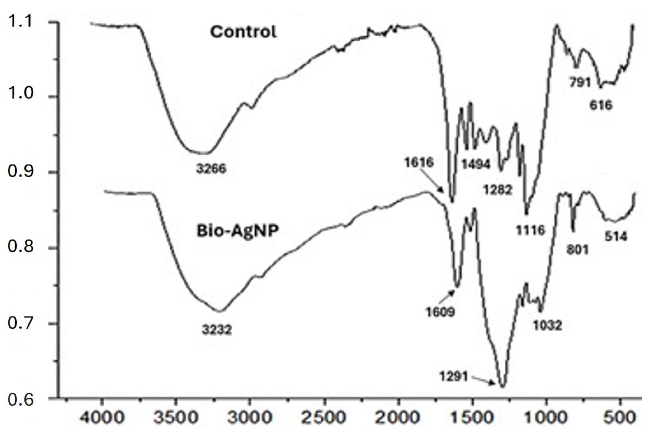 Antibiotics 13 00777 g004