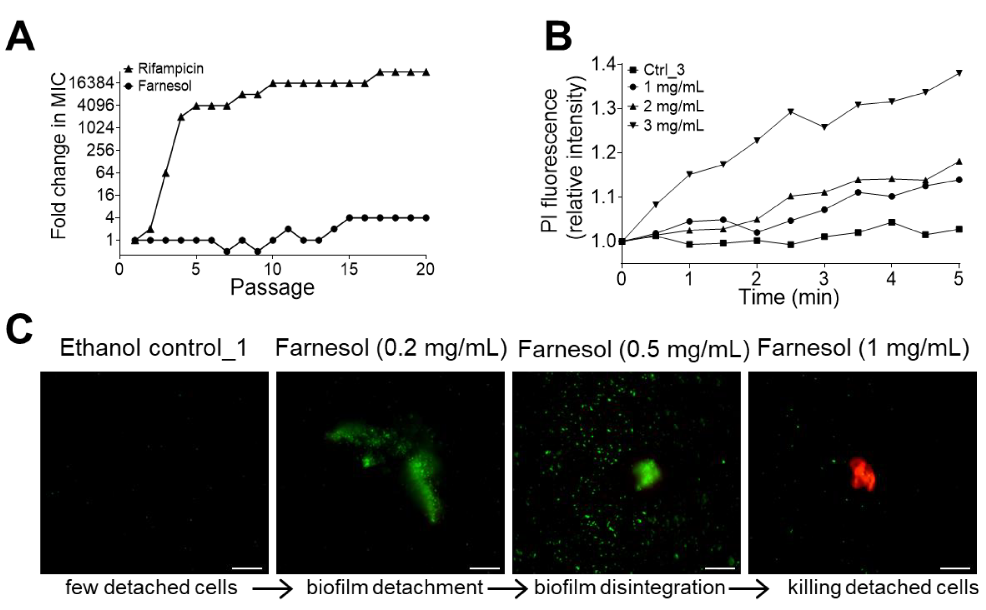 Antibiotics 13 00778 g007