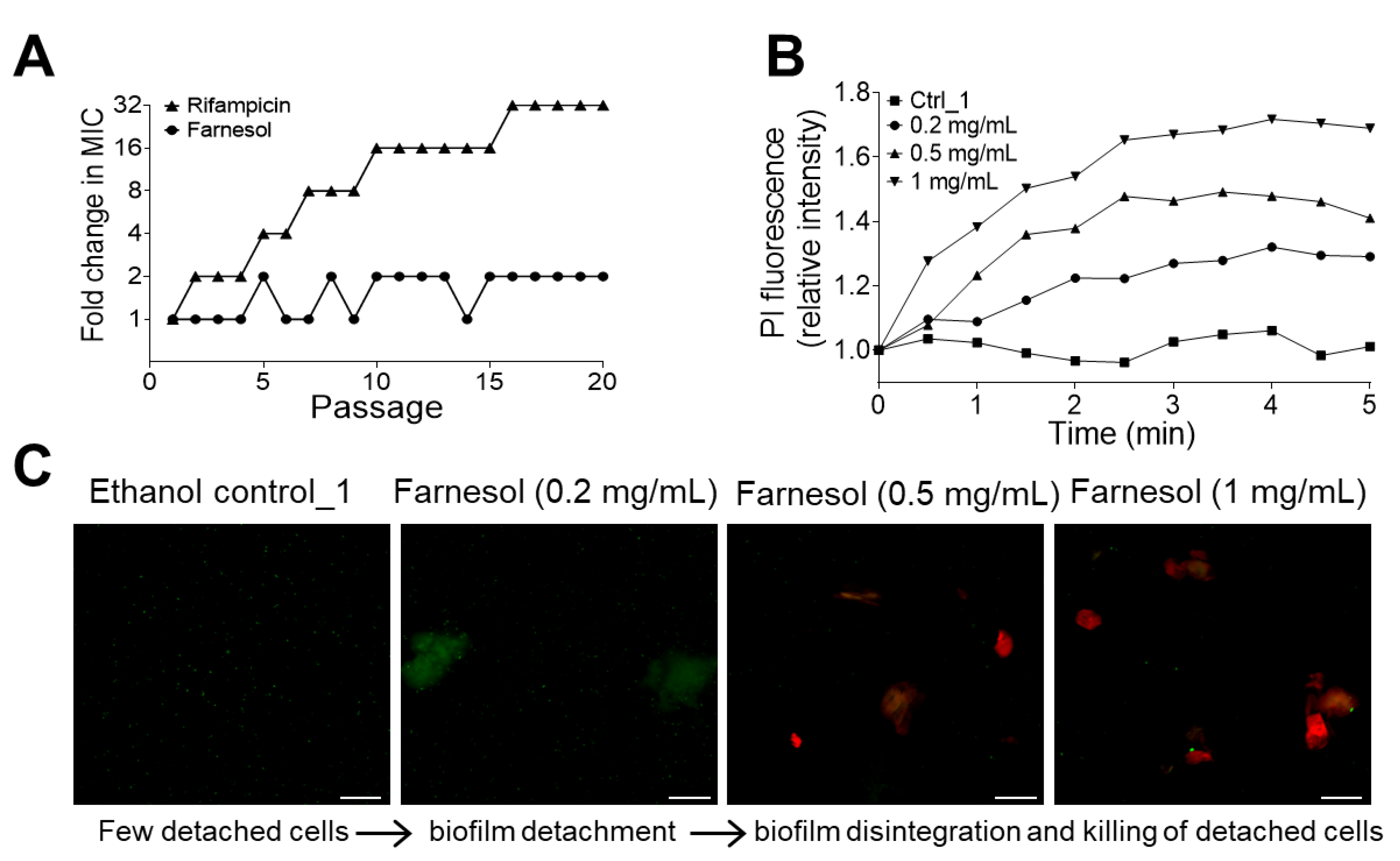 Antibiotics 13 00778 g008