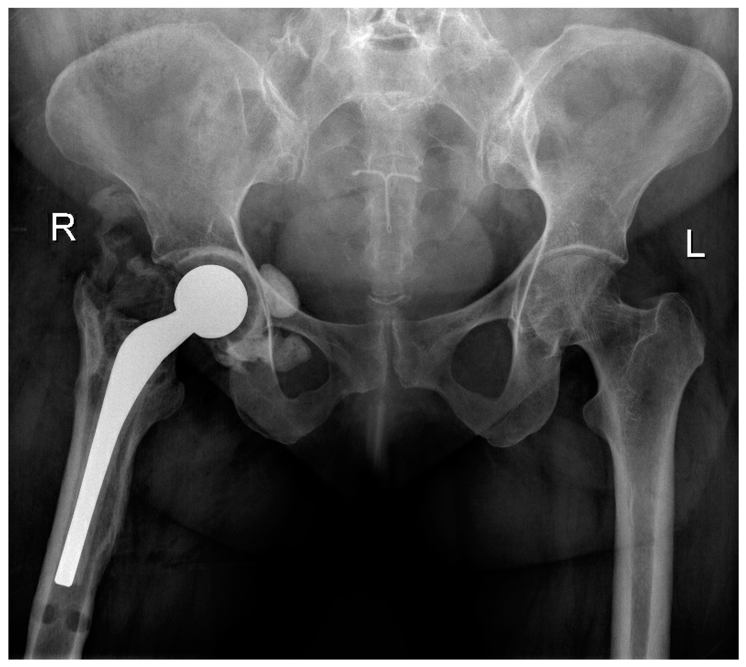 Antibiotics 13 00782 g004