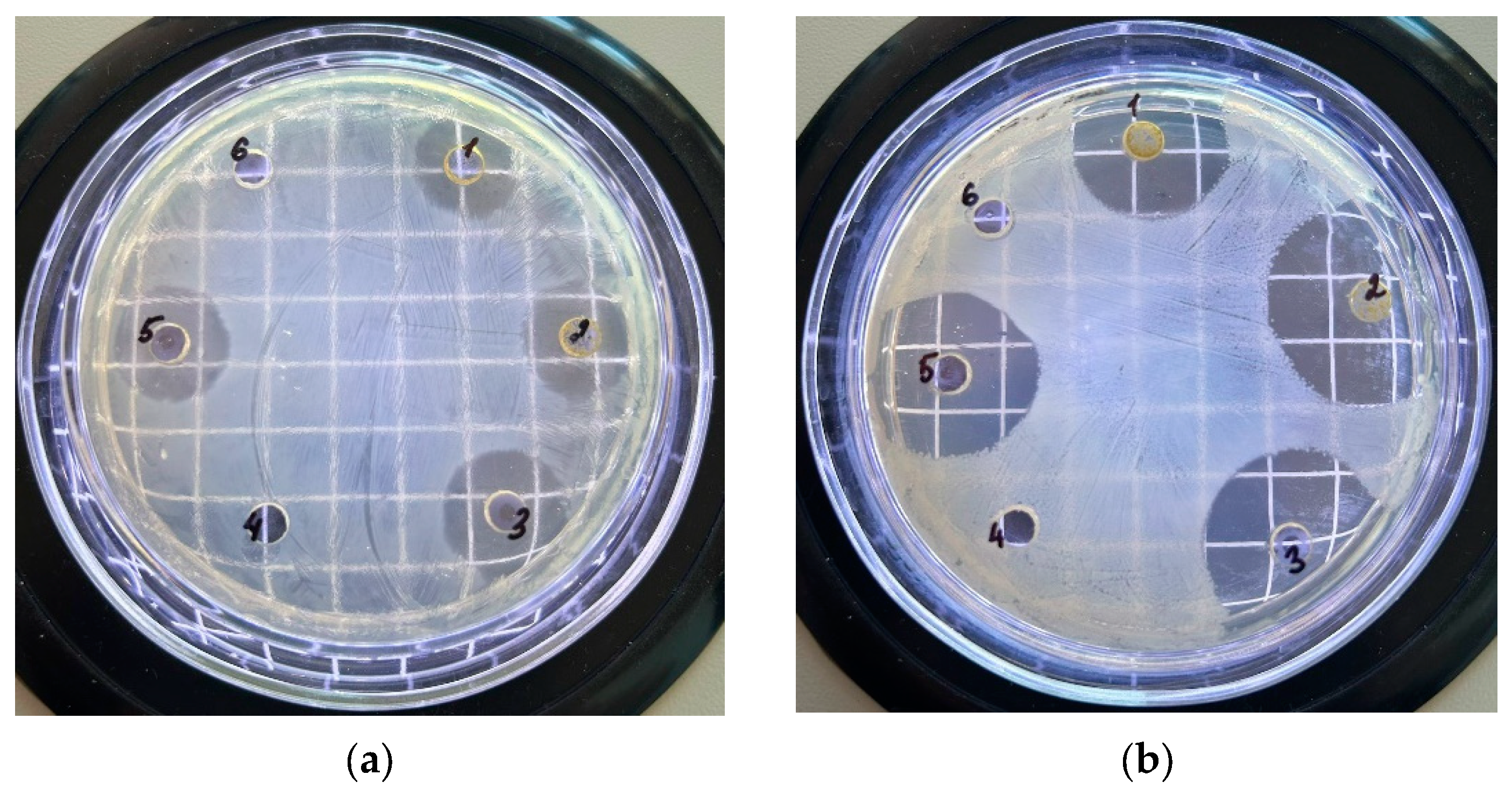 Antibiotics 13 00785 g001