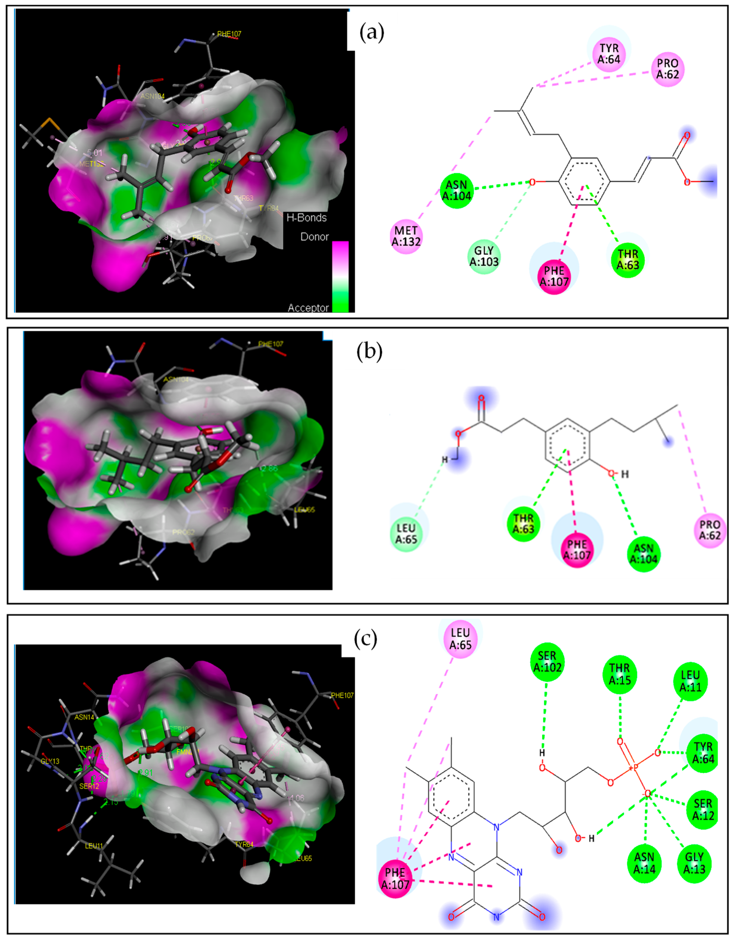 Antibiotics 13 00787 g003