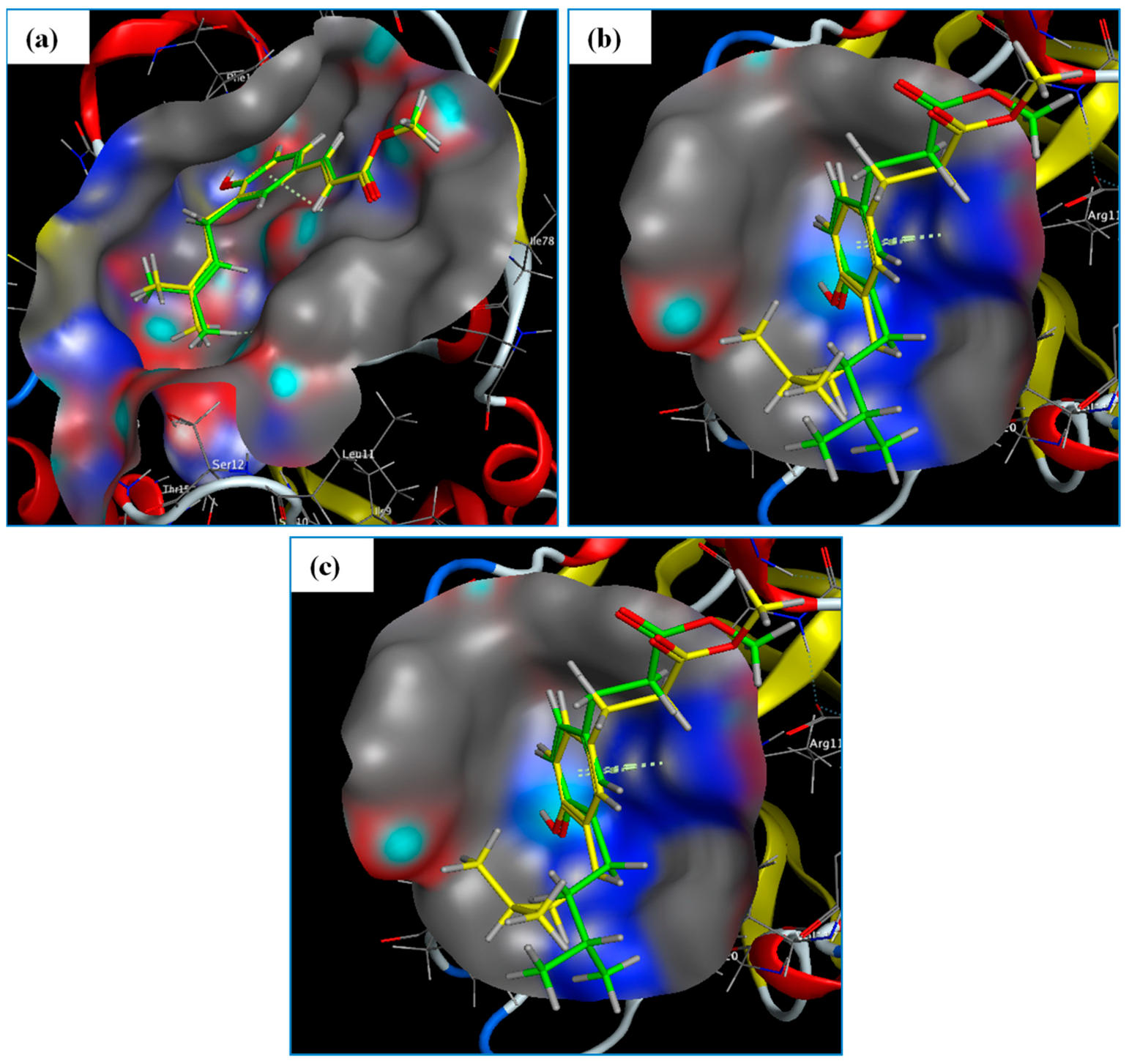 Antibiotics 13 00787 g005