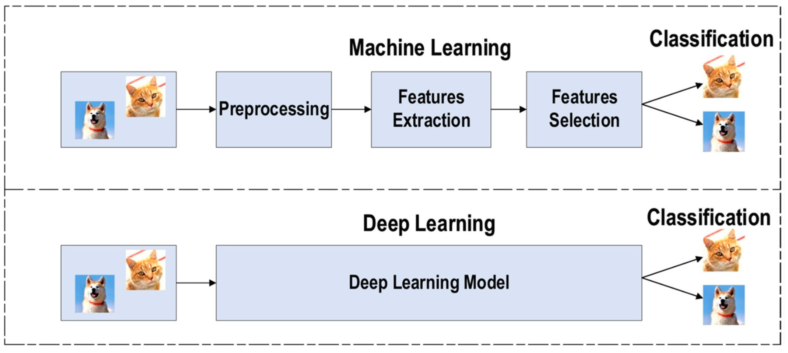 Antibiotics 13 00788 g004