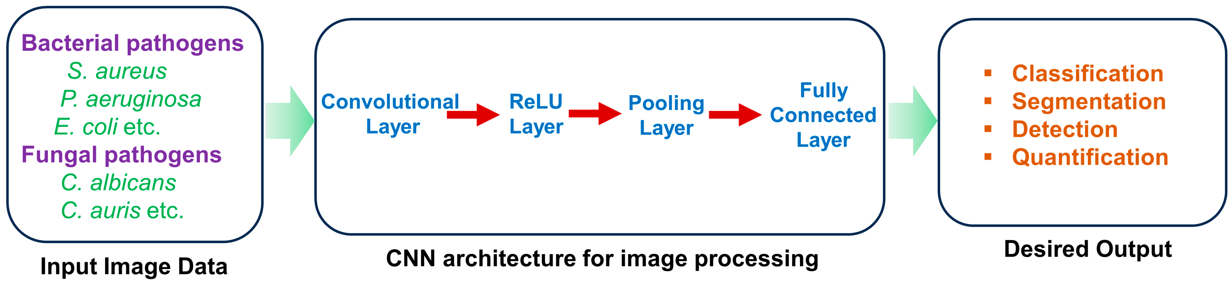 Antibiotics 13 00788 g006