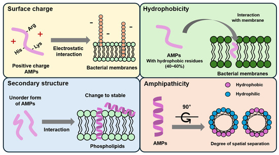 Antimicrobial Peptides and Their Biomedical Applications: A