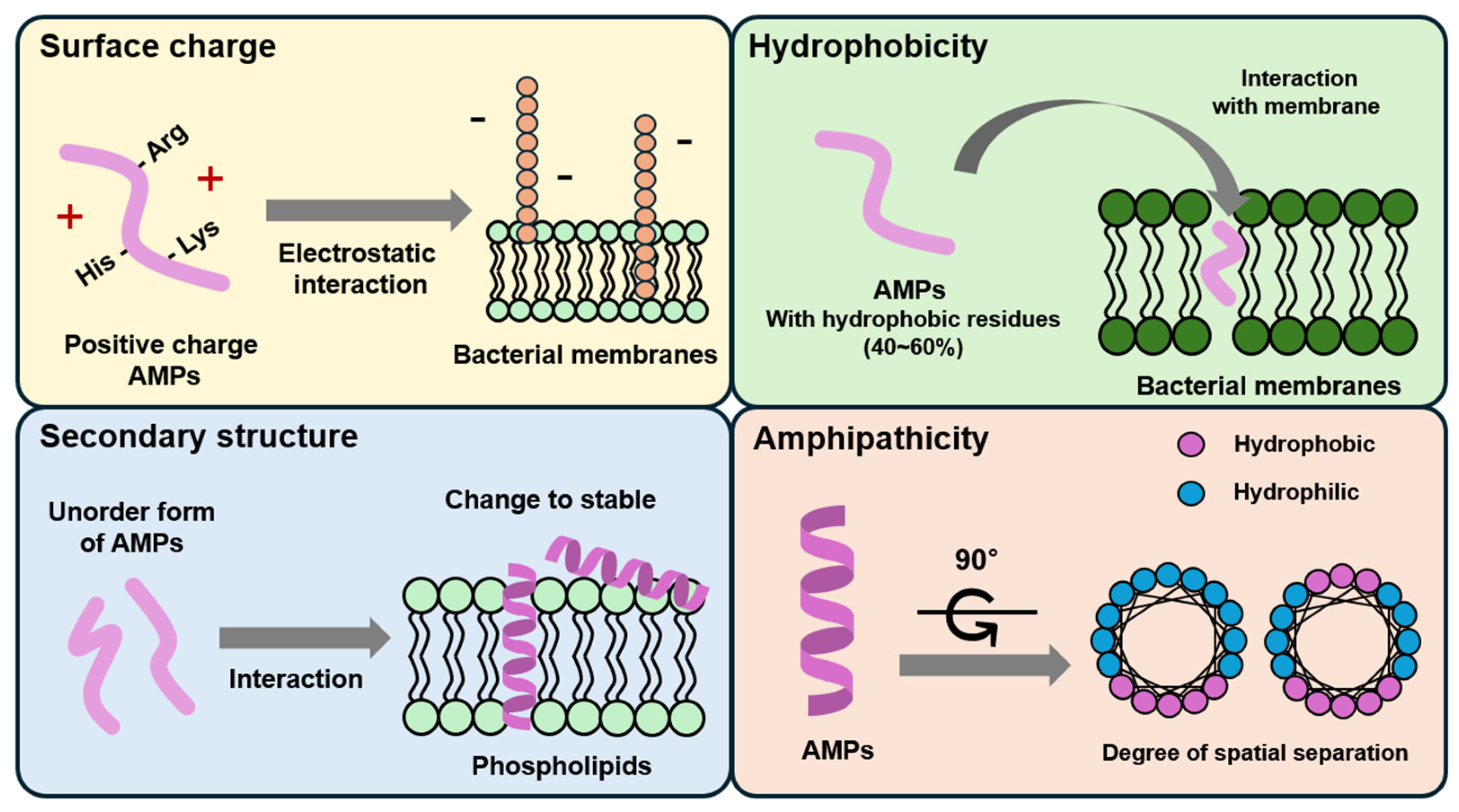 Antibiotics 13 00794 g001