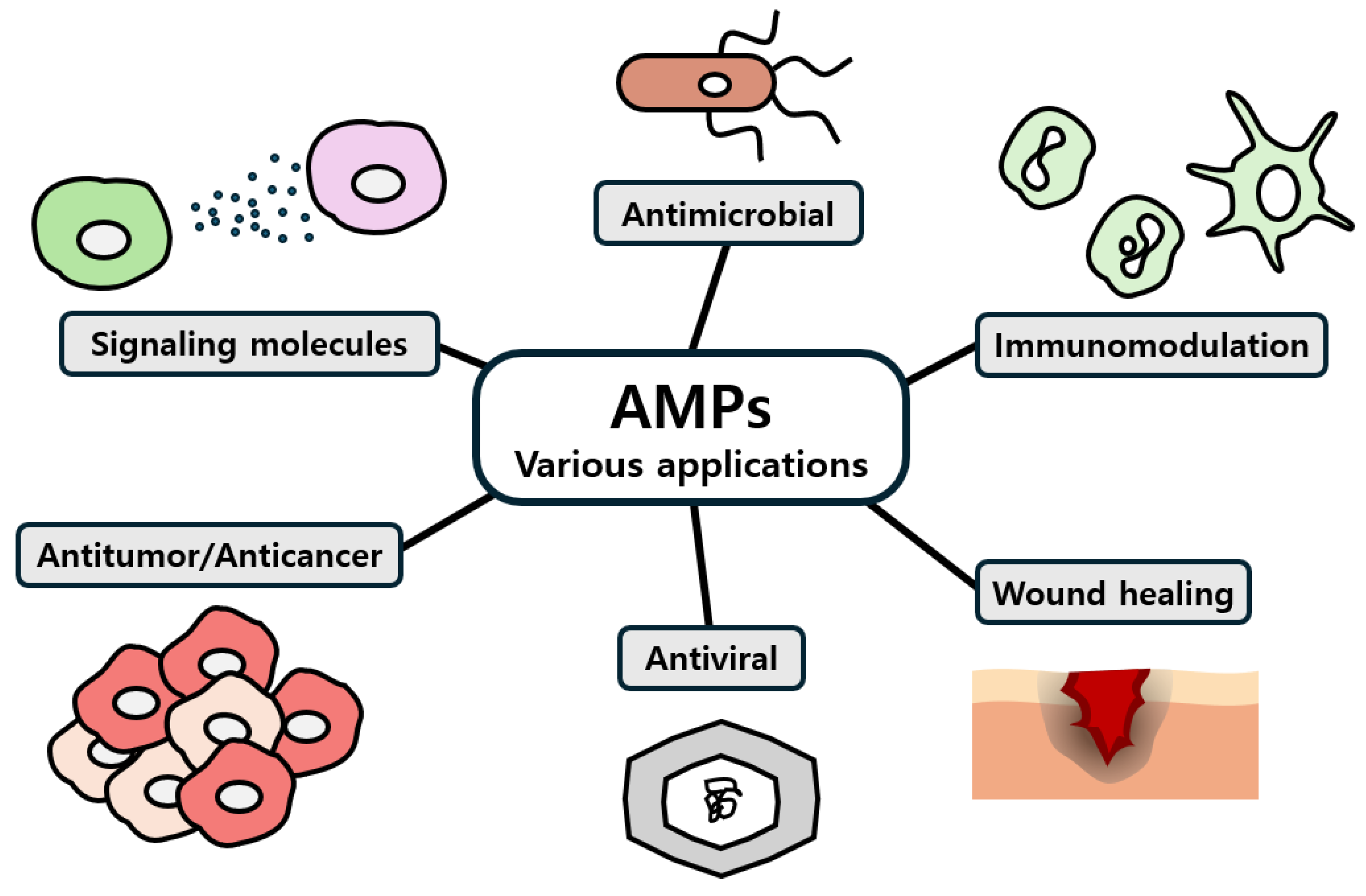 Antibiotics 13 00794 g002