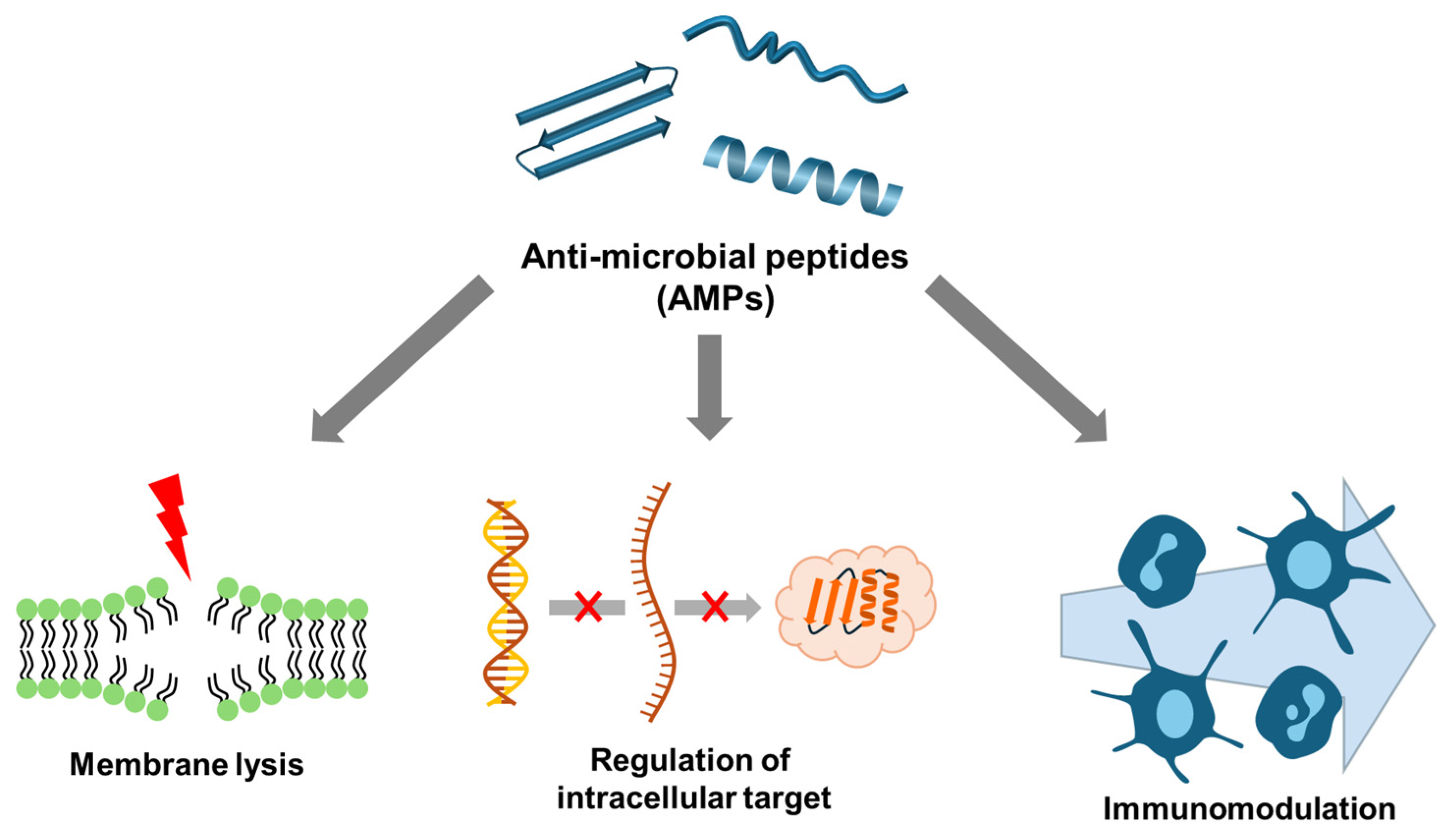 ミイ Comparative study on the activation of peroxydisulfate and