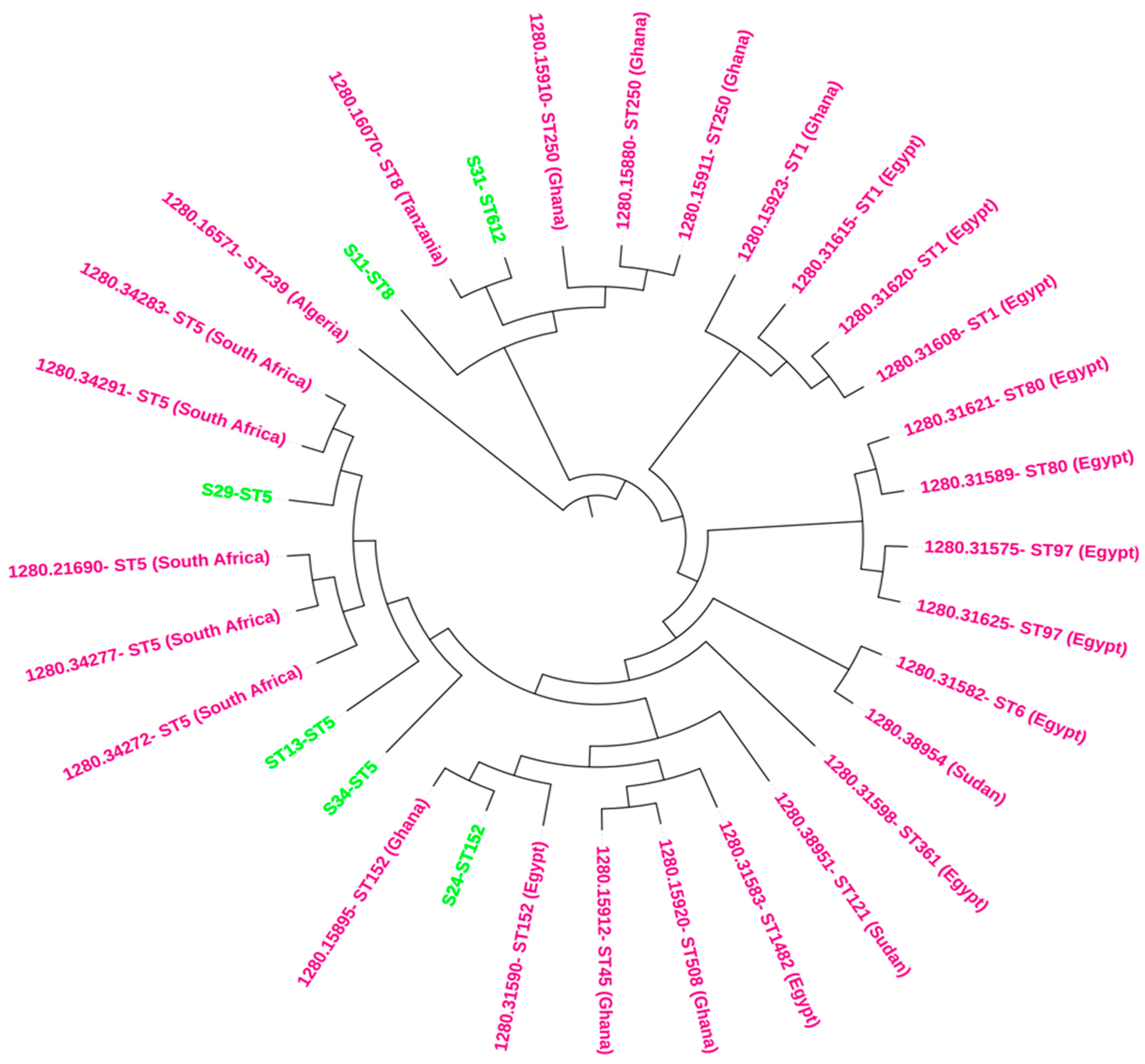 Antibiotics 13 00796 g001