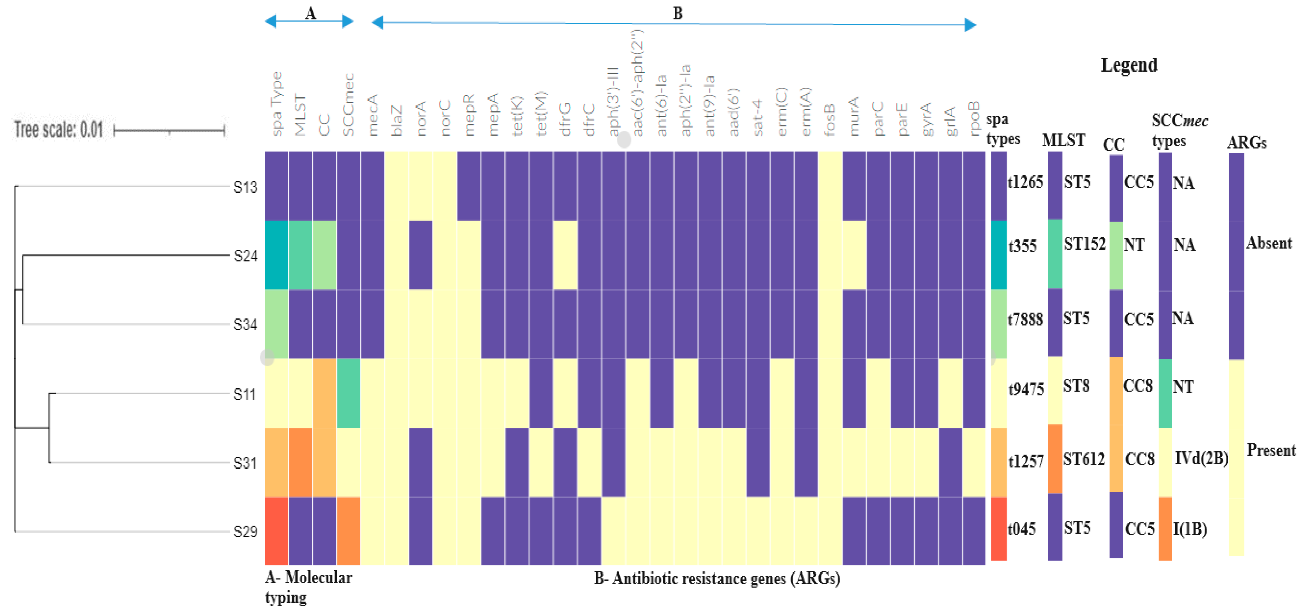 Antibiotics 13 00796 g002