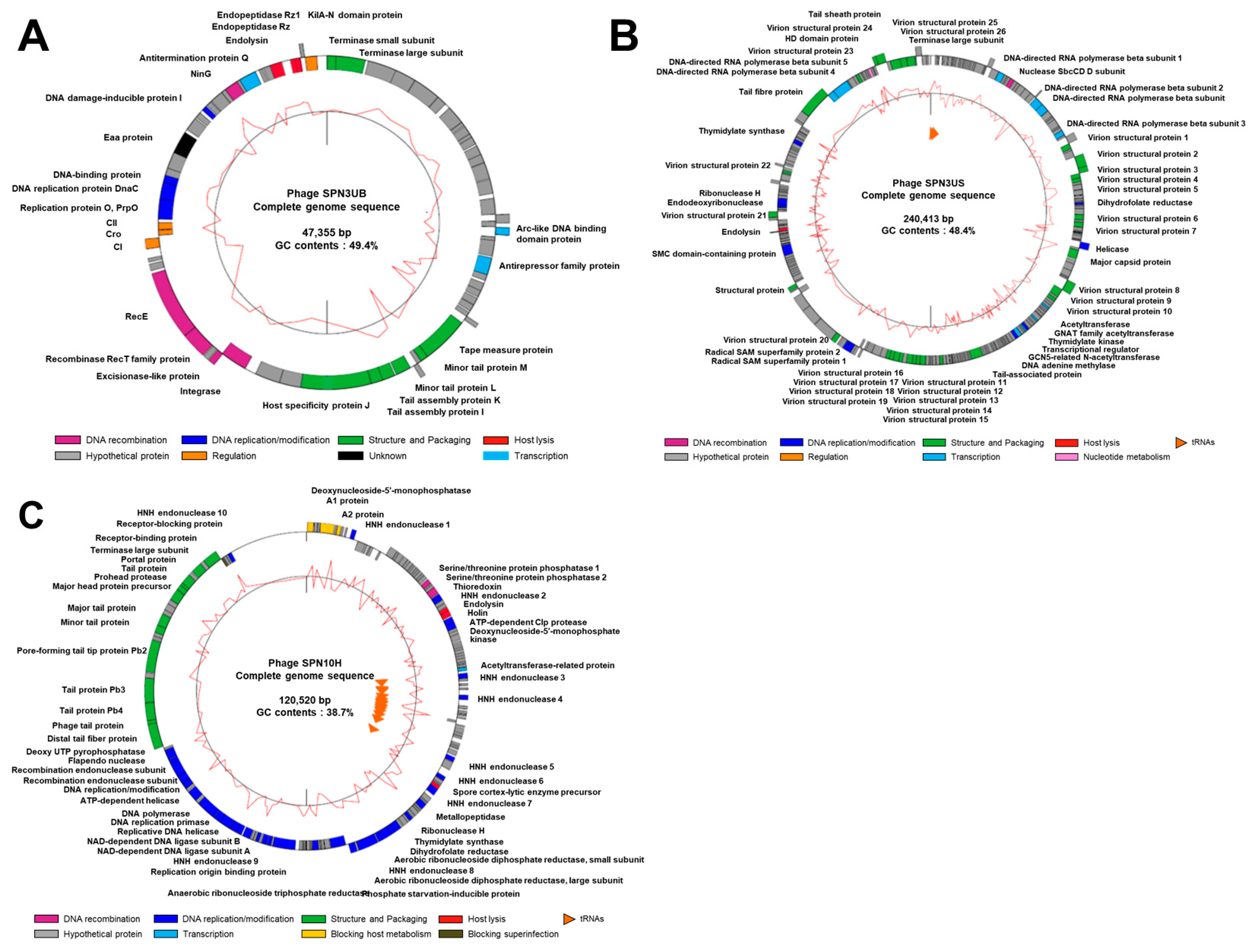 Antibiotics 13 00799 g002