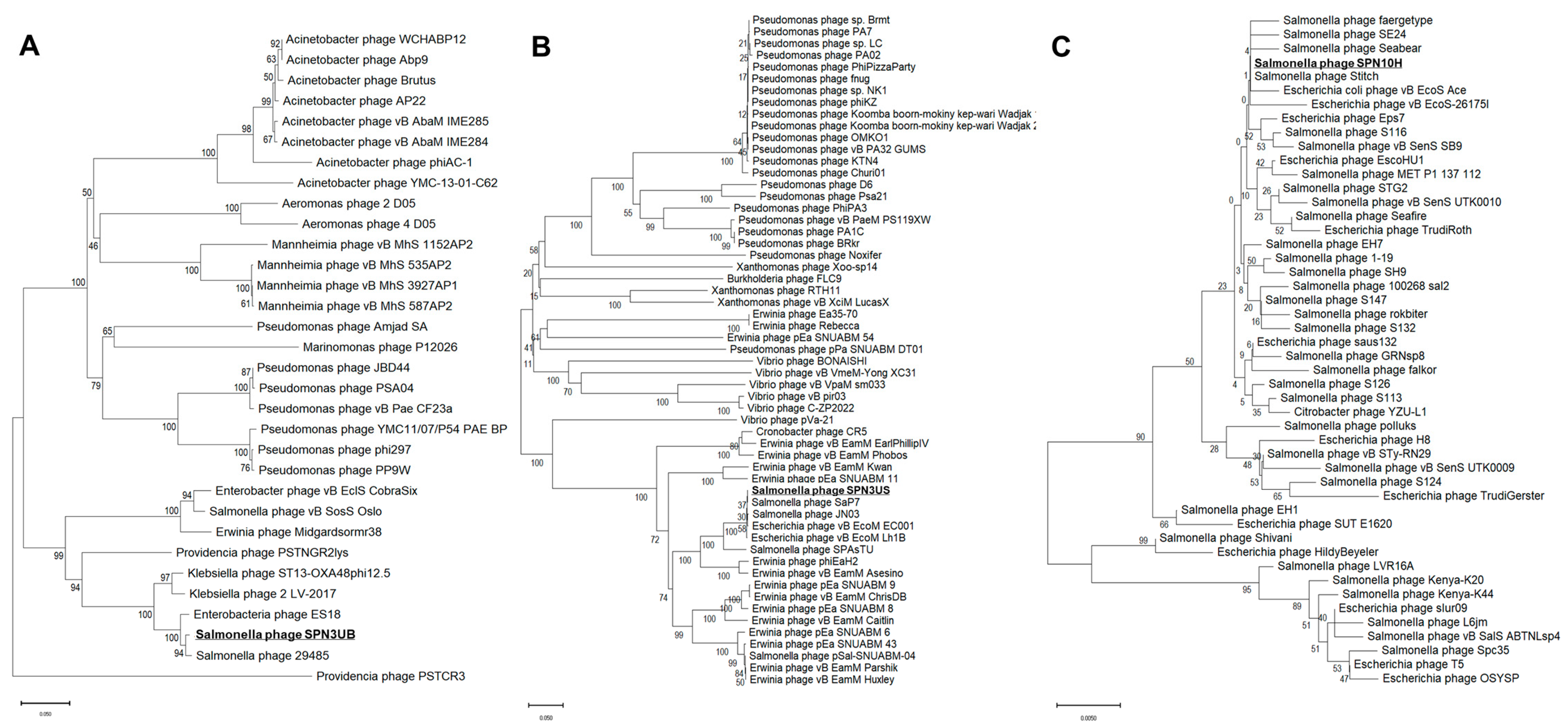 Antibiotics 13 00799 g003