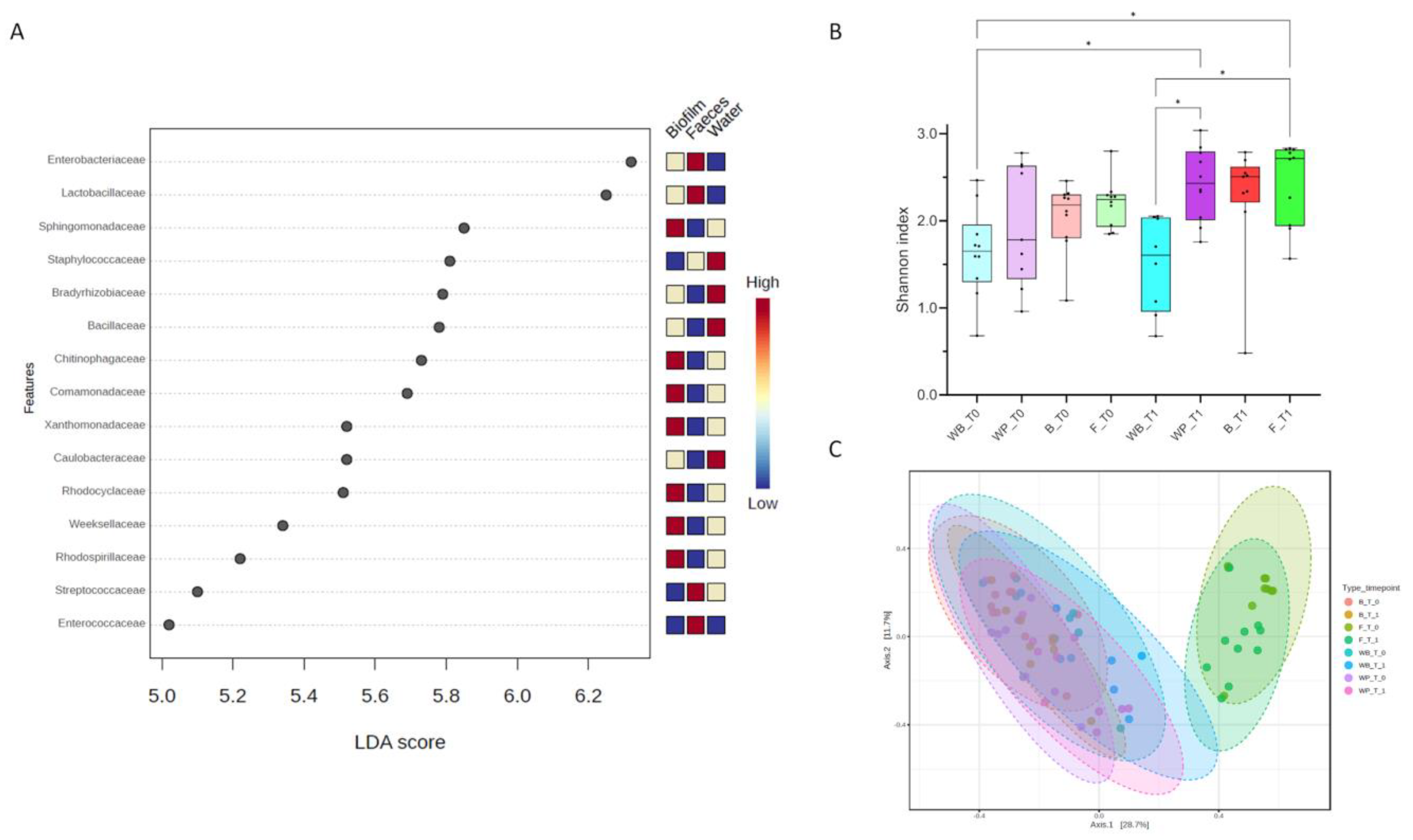 Antibiotics 13 00808 g002