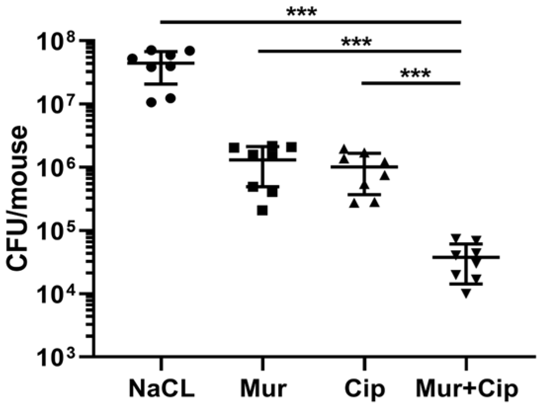 Antibiotics 13 00810 g005