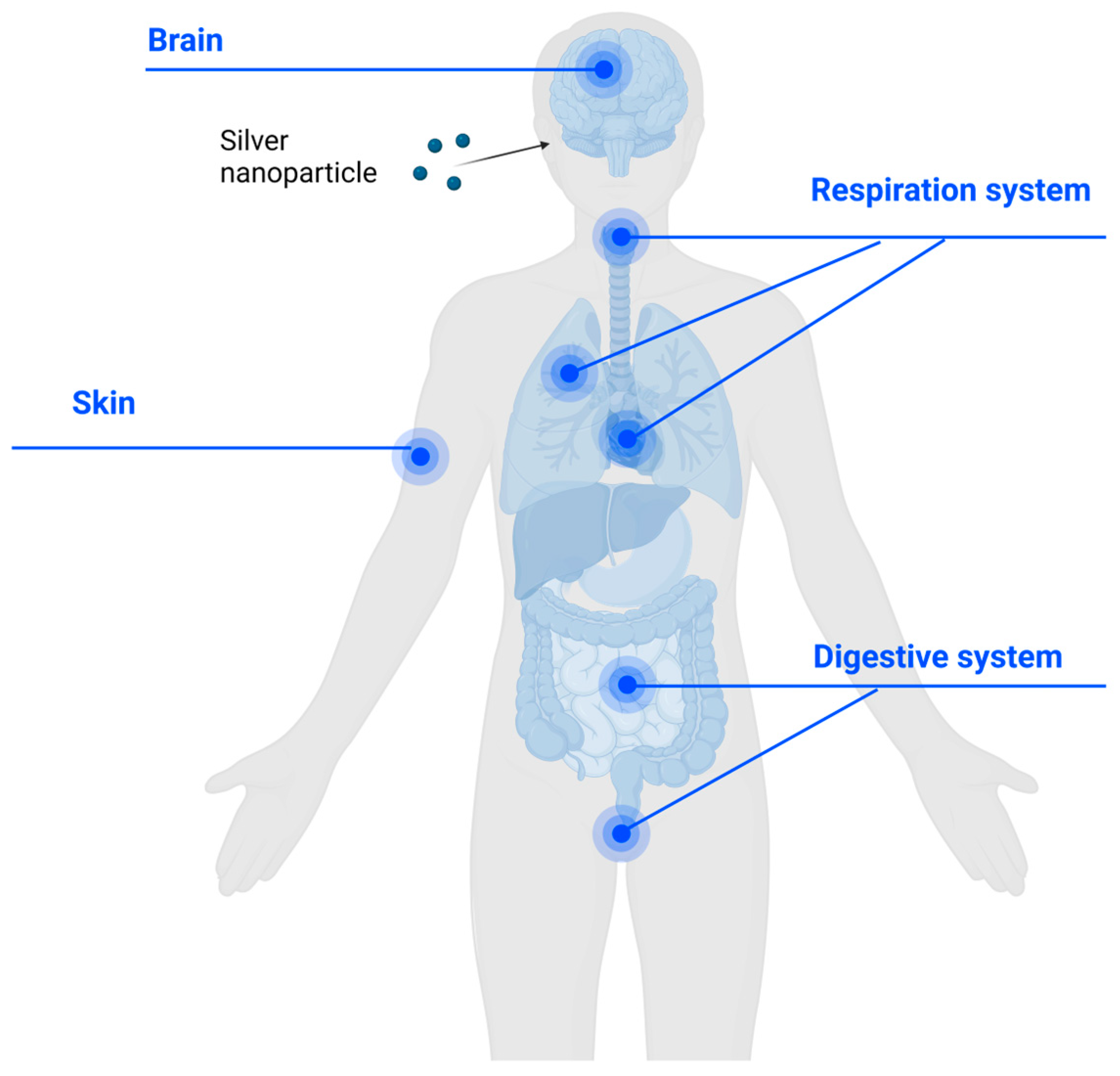 Antibiotics 13 00819 g004