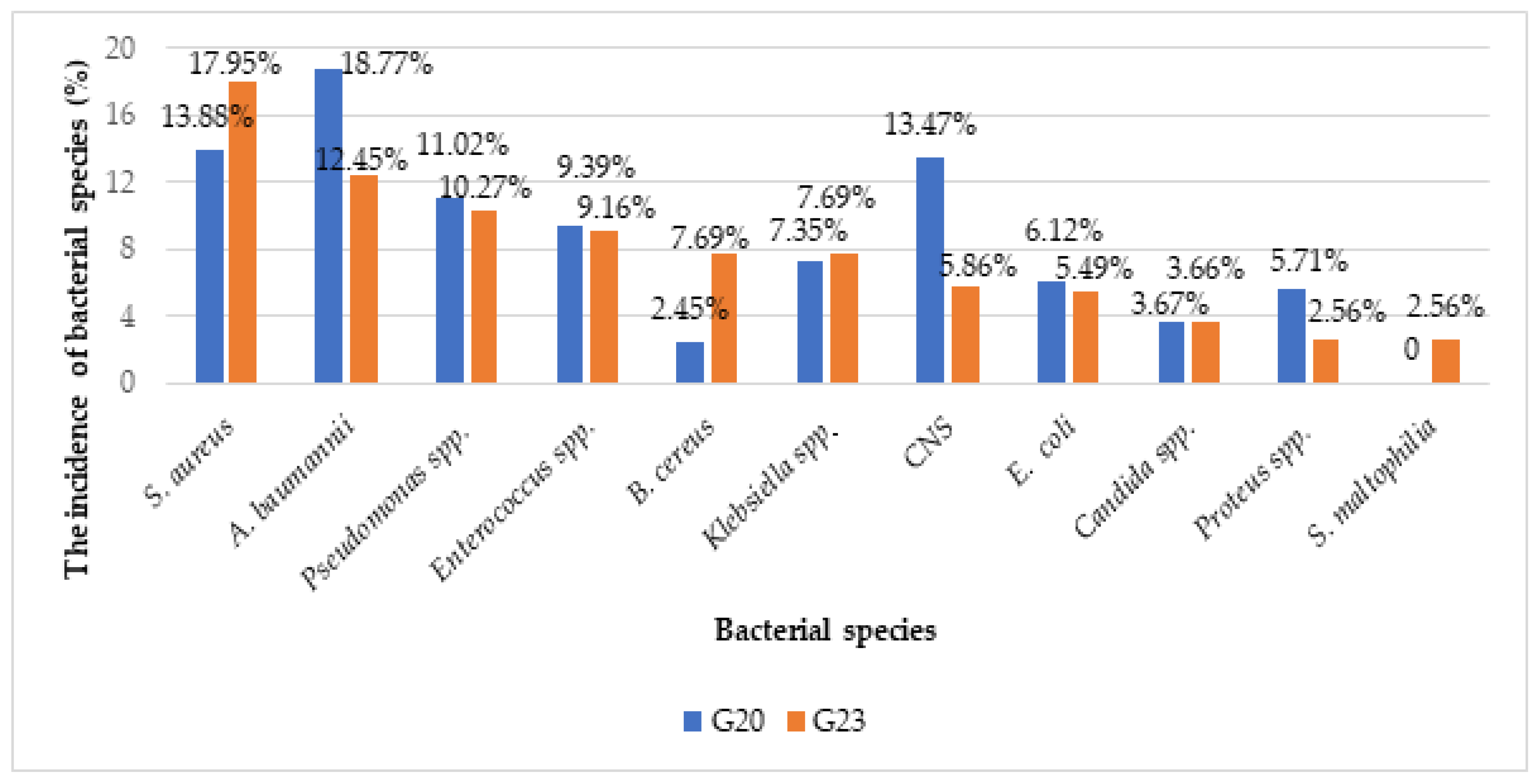 Antibiotics 13 00823 g001